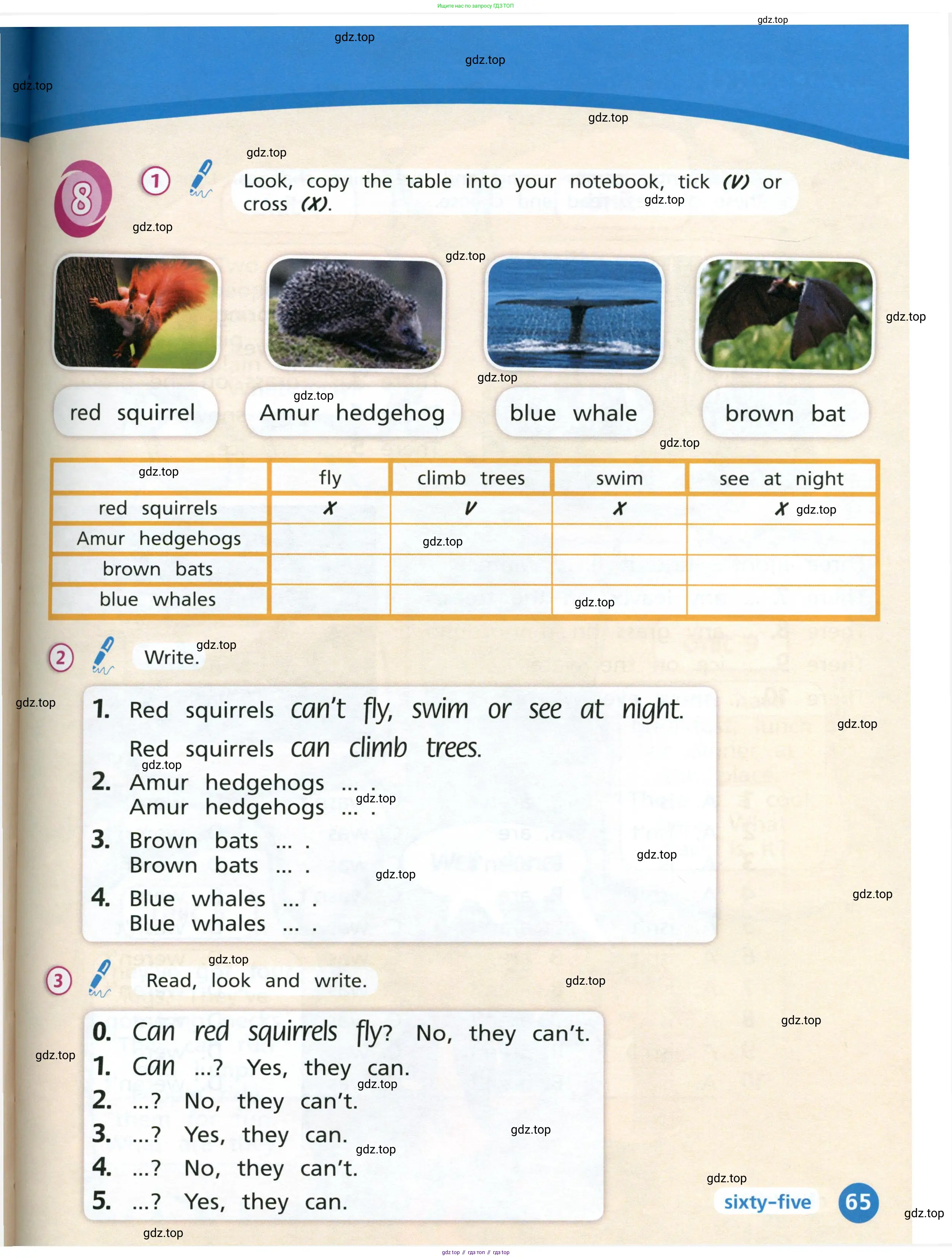 Английский язык (english), 3 класс Учебник (Student's book), авторы: Костюк Евгения Владимировна (Kostyuk Evgeniya), Колоницкая Лидия Борисовна (Kolonitskaya Lidiya), Кустаф Лесли (Koustaff Lesley), издательство Просвещение, Москва, 2023, белого цвета, Часть ( Part) 2, страница 65