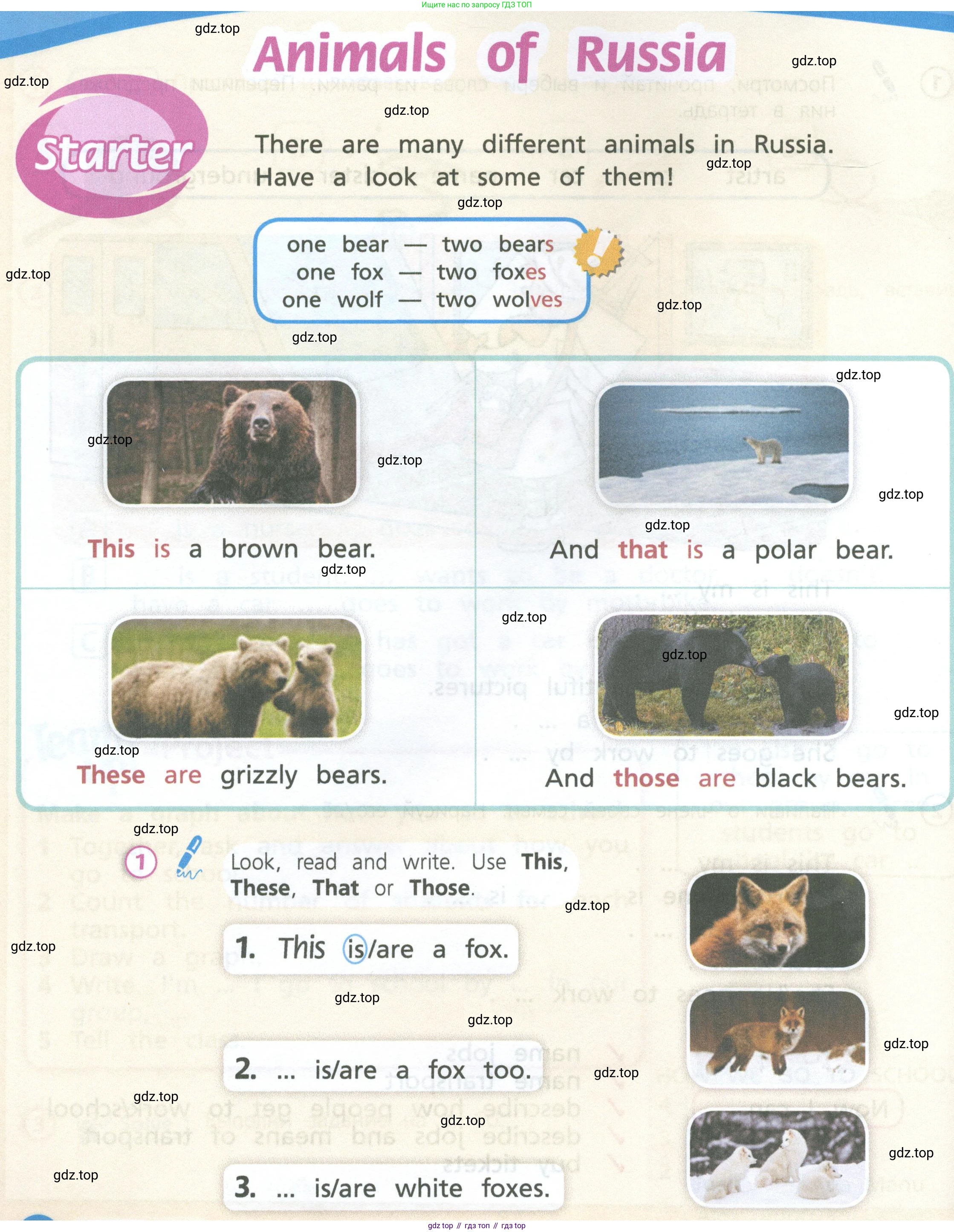 Английский язык (english), 3 класс Учебник (Student's book), авторы: Костюк Евгения Владимировна (Kostyuk Evgeniya), Колоницкая Лидия Борисовна (Kolonitskaya Lidiya), Кустаф Лесли (Koustaff Lesley), издательство Просвещение, Москва, 2023, белого цвета, Часть ( Part) 1, страница 50, номер 1, Условие
