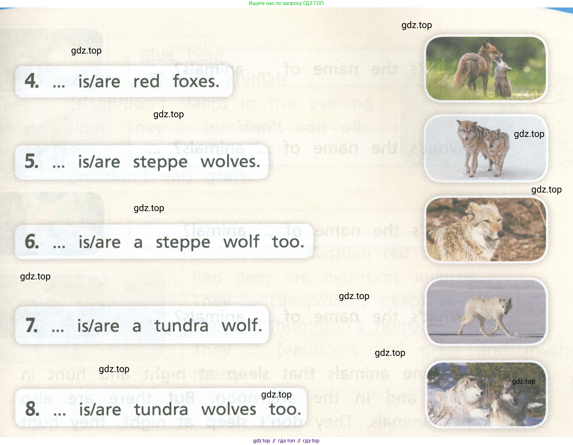 Английский язык (english), 3 класс Учебник (Student's book), авторы: Костюк Евгения Владимировна (Kostyuk Evgeniya), Колоницкая Лидия Борисовна (Kolonitskaya Lidiya), Кустаф Лесли (Koustaff Lesley), издательство Просвещение, Москва, 2023, белого цвета, Часть ( Part) 1, страница 50, номер 1, Условие (продолжение 2)
