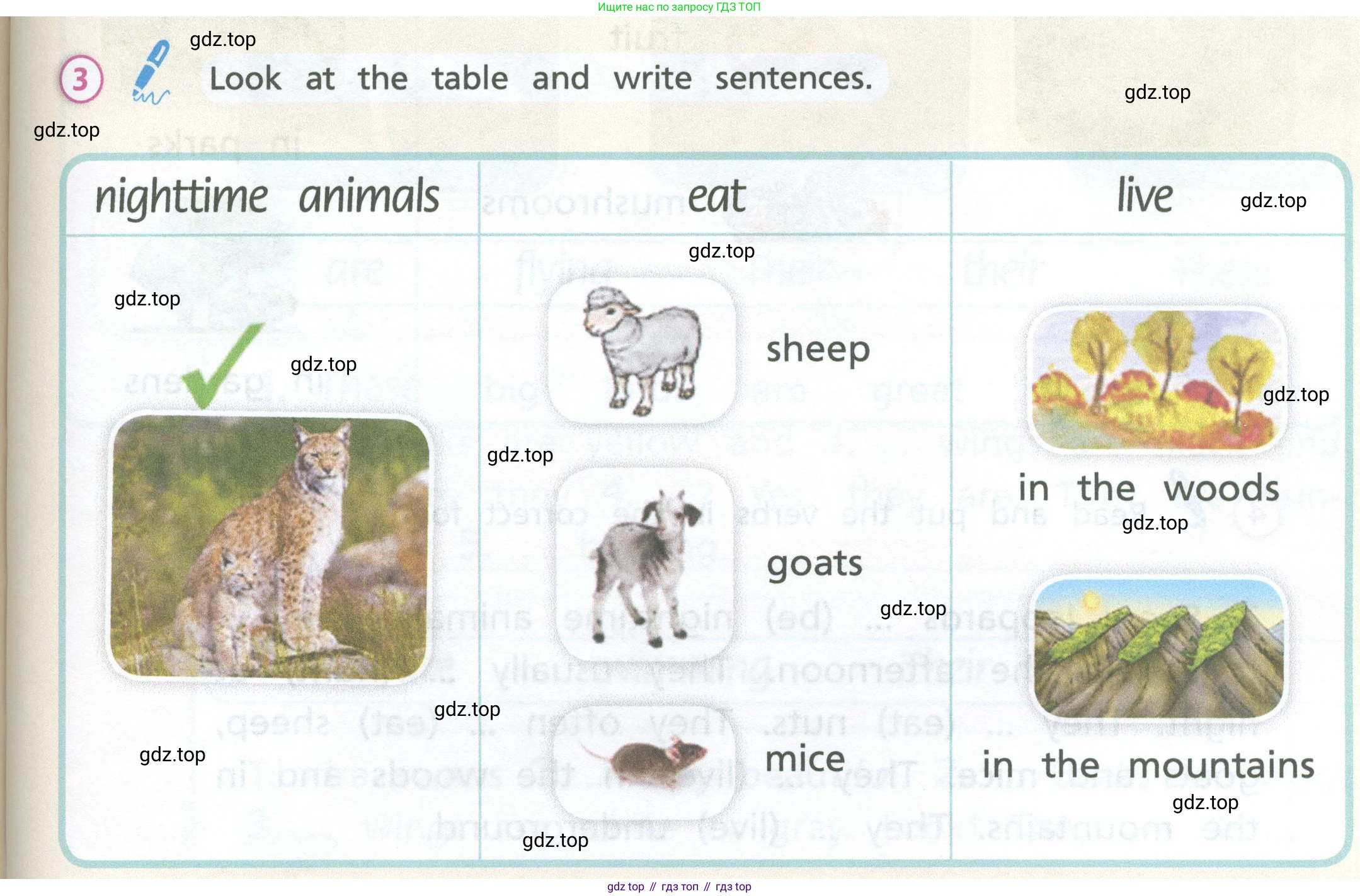Английский язык (english), 3 класс Учебник (Student's book), авторы: Костюк Евгения Владимировна (Kostyuk Evgeniya), Колоницкая Лидия Борисовна (Kolonitskaya Lidiya), Кустаф Лесли (Koustaff Lesley), издательство Просвещение, Москва, 2023, белого цвета, Часть ( Part) 1, страница 53, номер 3, Условие