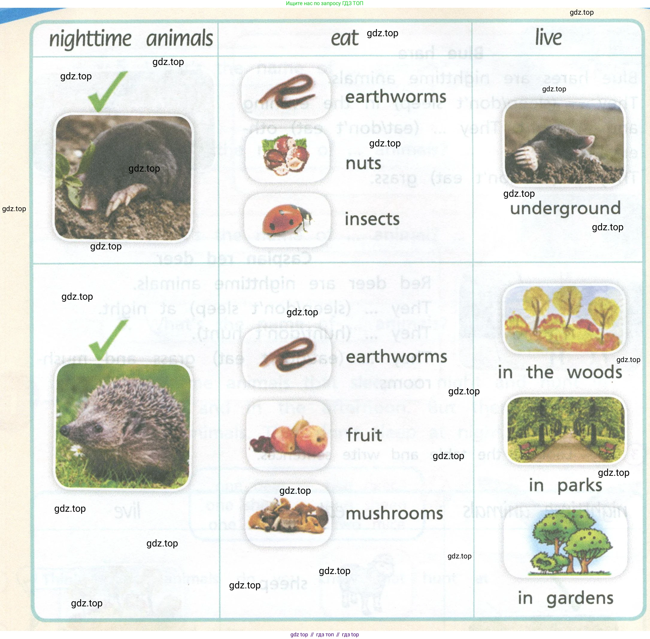 Английский язык (english), 3 класс Учебник (Student's book), авторы: Костюк Евгения Владимировна (Kostyuk Evgeniya), Колоницкая Лидия Борисовна (Kolonitskaya Lidiya), Кустаф Лесли (Koustaff Lesley), издательство Просвещение, Москва, 2023, белого цвета, Часть ( Part) 1, страница 53, номер 3, Условие (продолжение 2)