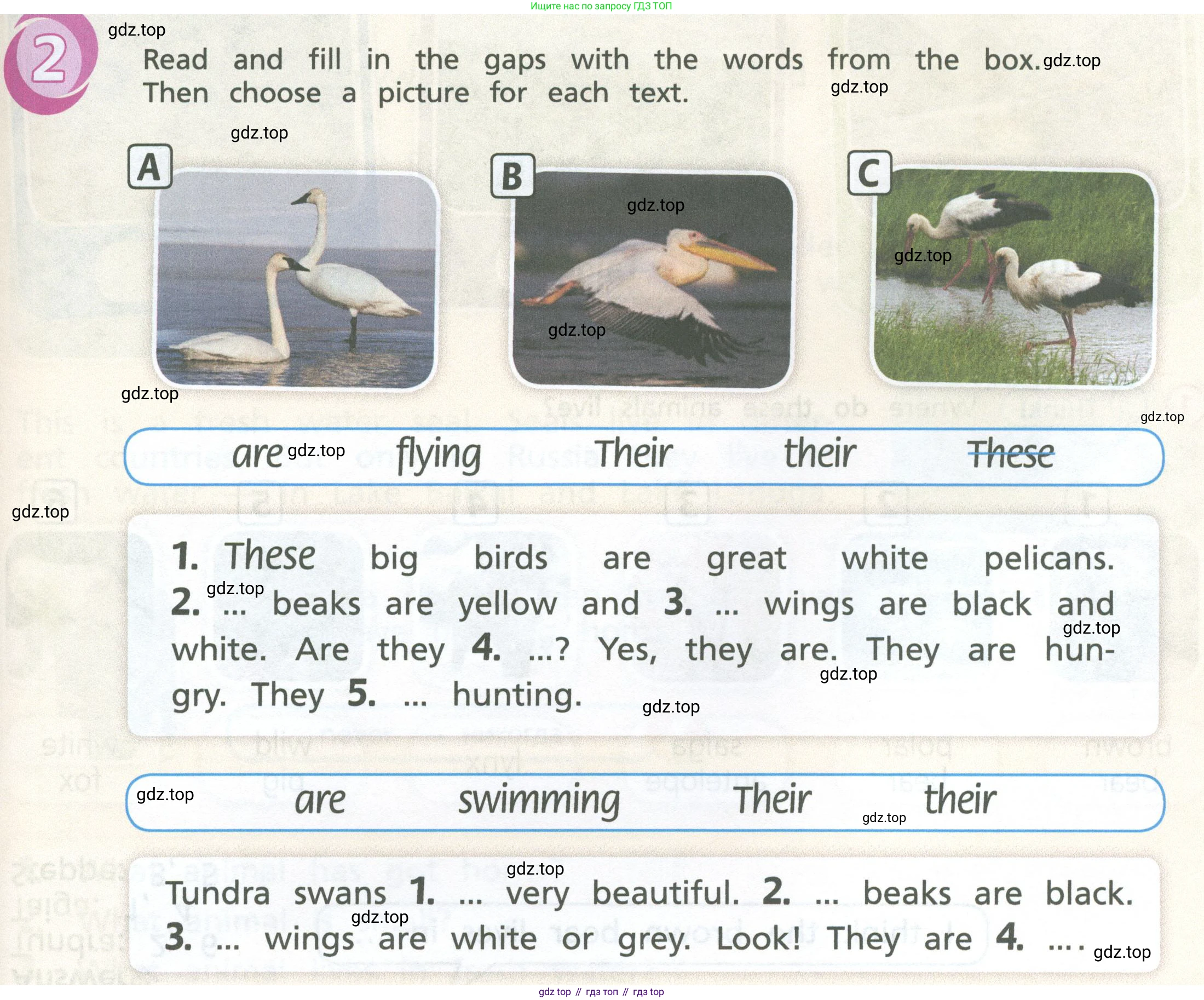 Английский язык (english), 3 класс Учебник (Student's book), авторы: Костюк Евгения Владимировна (Kostyuk Evgeniya), Колоницкая Лидия Борисовна (Kolonitskaya Lidiya), Кустаф Лесли (Koustaff Lesley), издательство Просвещение, Москва, 2023, белого цвета, Часть ( Part) 1, страница 55, Условие