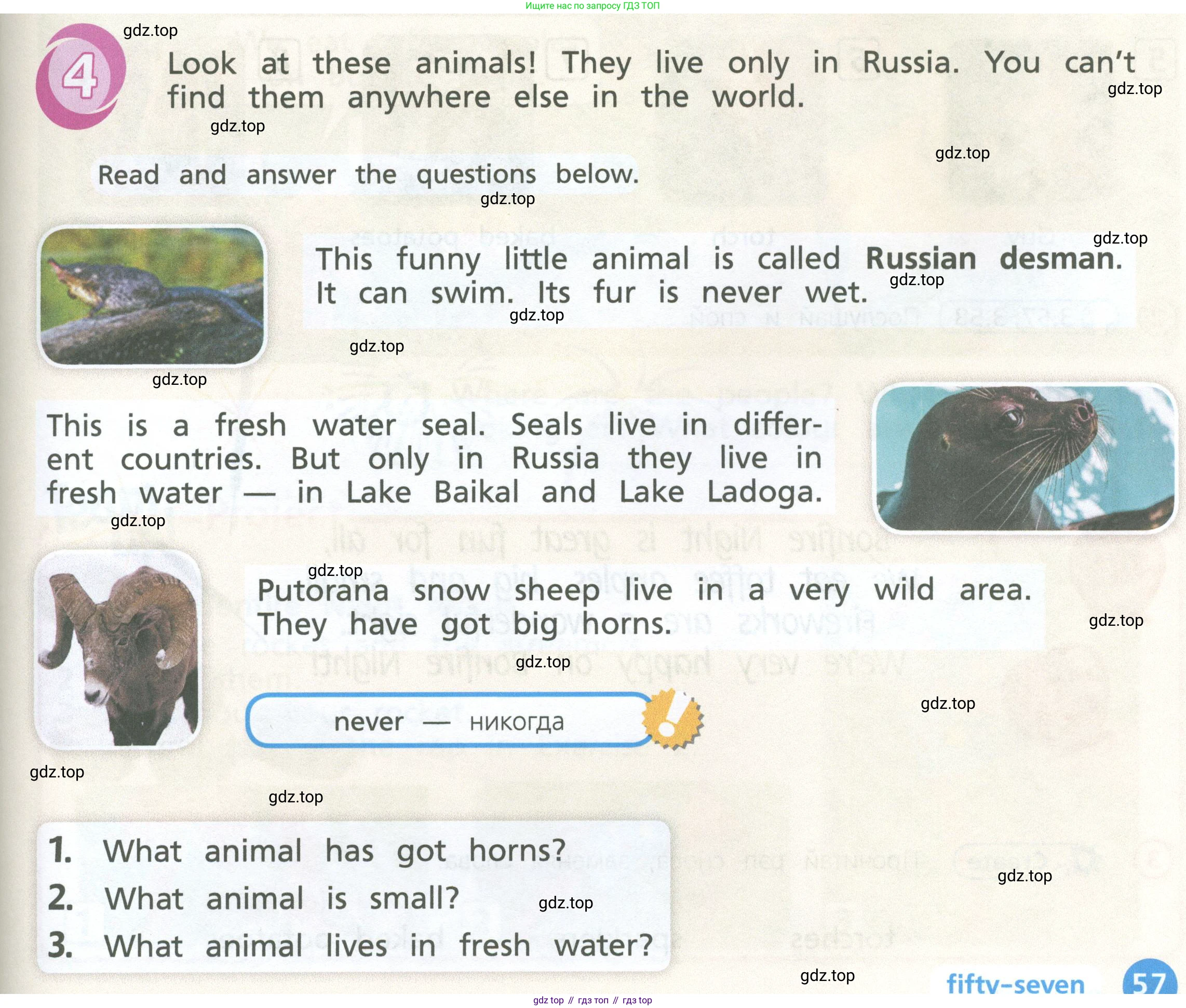 Английский язык (english), 3 класс Учебник (Student's book), авторы: Костюк Евгения Владимировна (Kostyuk Evgeniya), Колоницкая Лидия Борисовна (Kolonitskaya Lidiya), Кустаф Лесли (Koustaff Lesley), издательство Просвещение, Москва, 2023, белого цвета, Часть ( Part) 1, страница 57, Условие