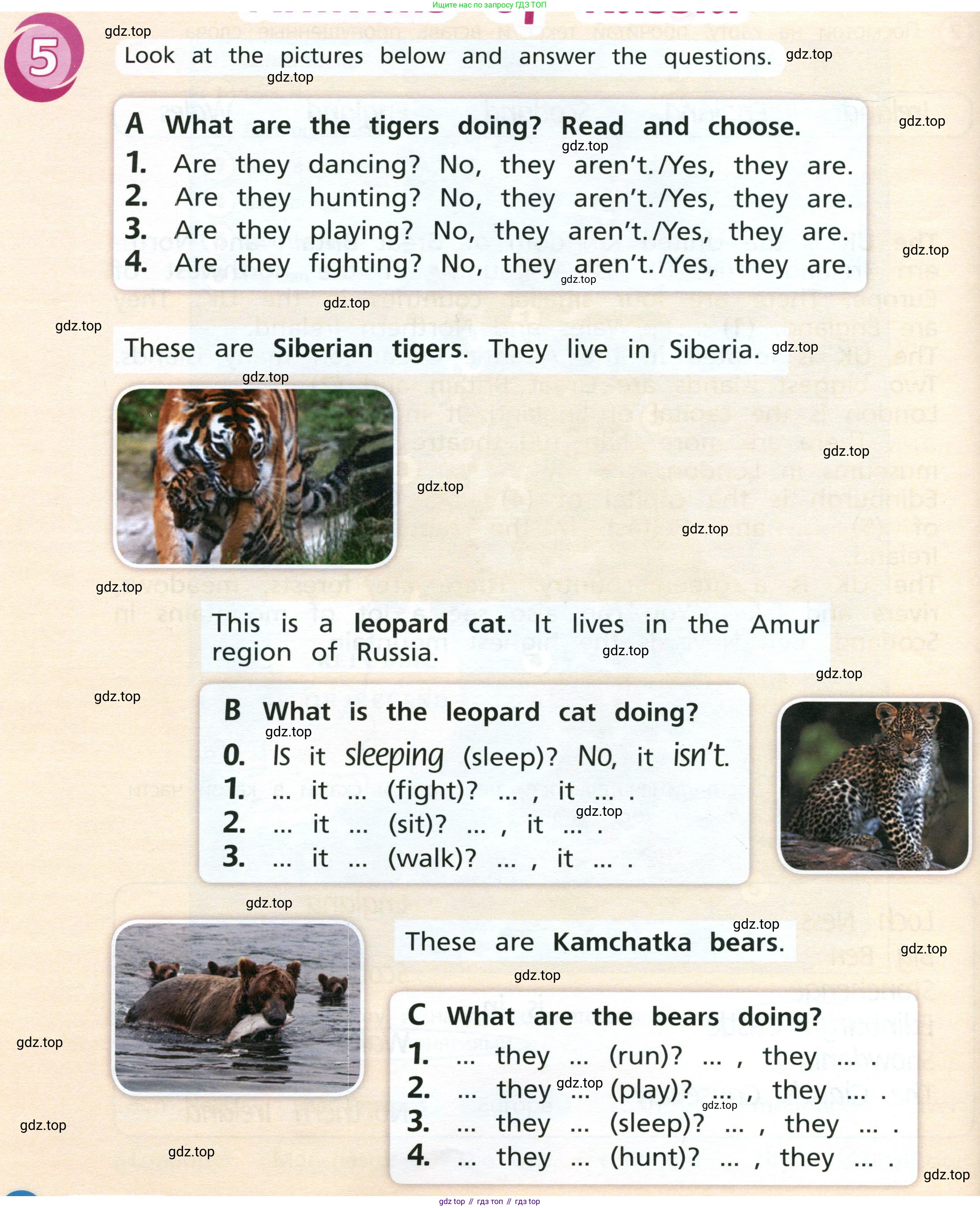 Английский язык (english), 3 класс Учебник (Student's book), авторы: Костюк Евгения Владимировна (Kostyuk Evgeniya), Колоницкая Лидия Борисовна (Kolonitskaya Lidiya), Кустаф Лесли (Koustaff Lesley), издательство Просвещение, Москва, 2023, белого цвета, Часть ( Part) 2, страница 62, номер 1, Условие