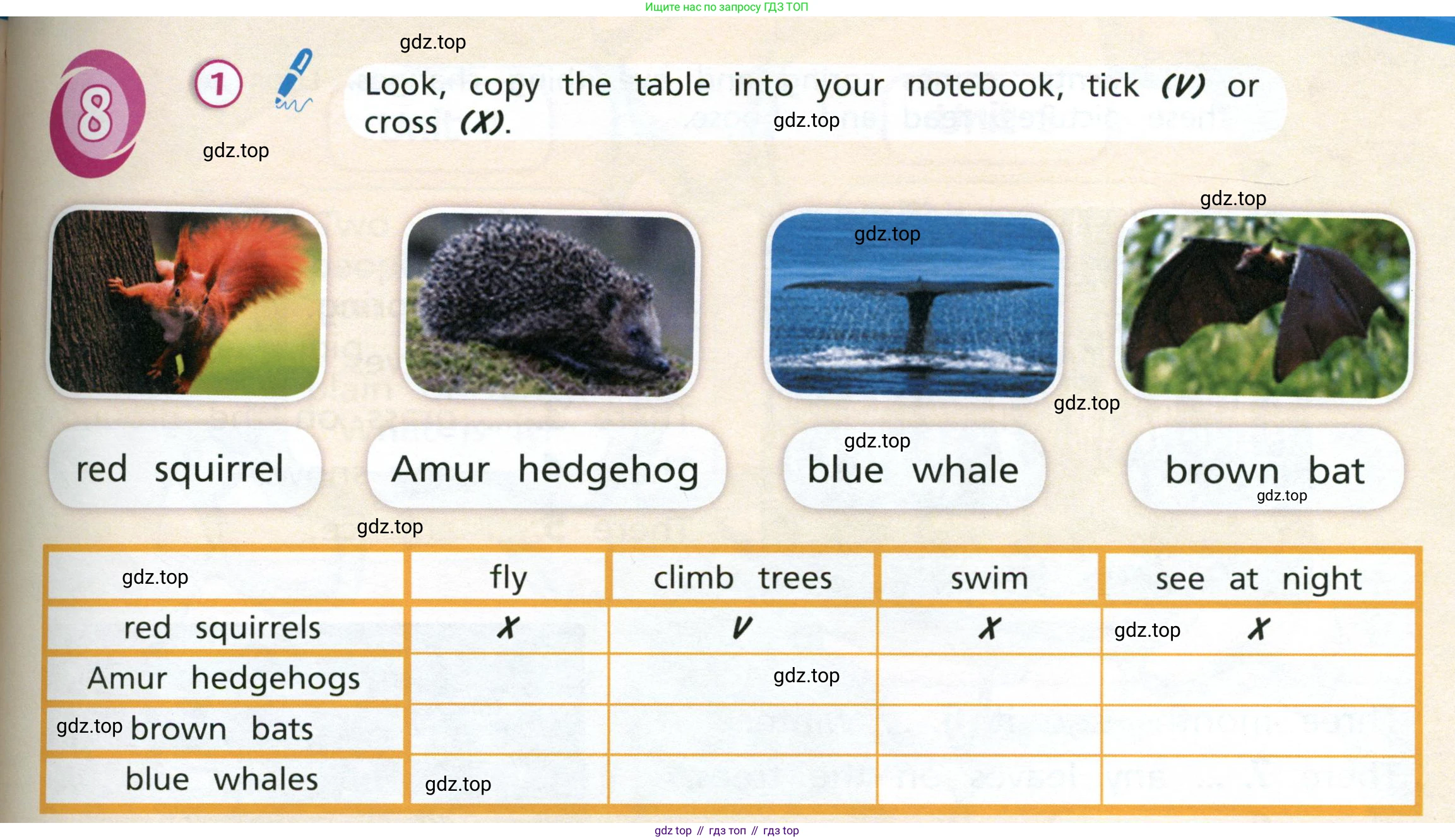 Английский язык (english), 3 класс Учебник (Student's book), авторы: Костюк Евгения Владимировна (Kostyuk Evgeniya), Колоницкая Лидия Борисовна (Kolonitskaya Lidiya), Кустаф Лесли (Koustaff Lesley), издательство Просвещение, Москва, 2023, белого цвета, Часть ( Part) 2, страница 65, номер 1, Условие