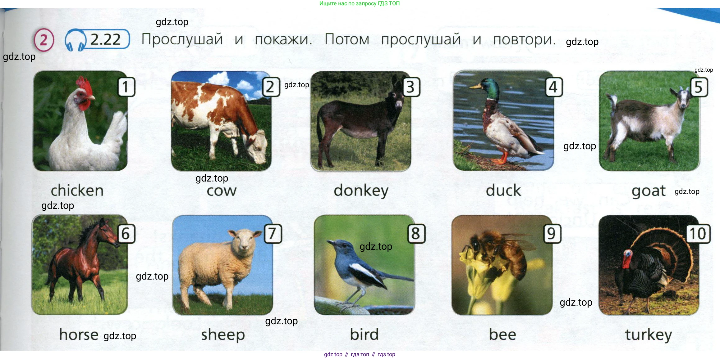 Английский язык (english), 3 класс Учебник (Student's book), авторы: Костюк Евгения Владимировна (Kostyuk Evgeniya), Колоницкая Лидия Борисовна (Kolonitskaya Lidiya), Кустаф Лесли (Koustaff Lesley), издательство Просвещение, Москва, 2023, белого цвета, Часть ( Part) 2, страница 5, номер 2, Условие