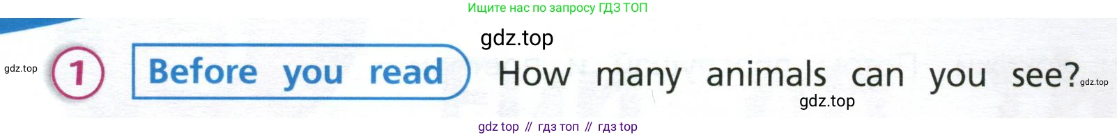 Английский язык (english), 3 класс Учебник (Student's book), авторы: Костюк Евгения Владимировна (Kostyuk Evgeniya), Колоницкая Лидия Борисовна (Kolonitskaya Lidiya), Кустаф Лесли (Koustaff Lesley), издательство Просвещение, Москва, 2023, белого цвета, Часть ( Part) 2, страница 6, номер 1, Условие