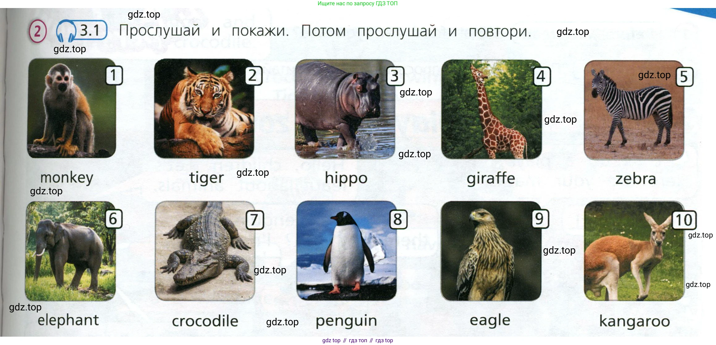 Английский язык (english), 3 класс Учебник (Student's book), авторы: Костюк Евгения Владимировна (Kostyuk Evgeniya), Колоницкая Лидия Борисовна (Kolonitskaya Lidiya), Кустаф Лесли (Koustaff Lesley), издательство Просвещение, Москва, 2023, белого цвета, Часть ( Part) 2, страница 37, номер 2, Условие