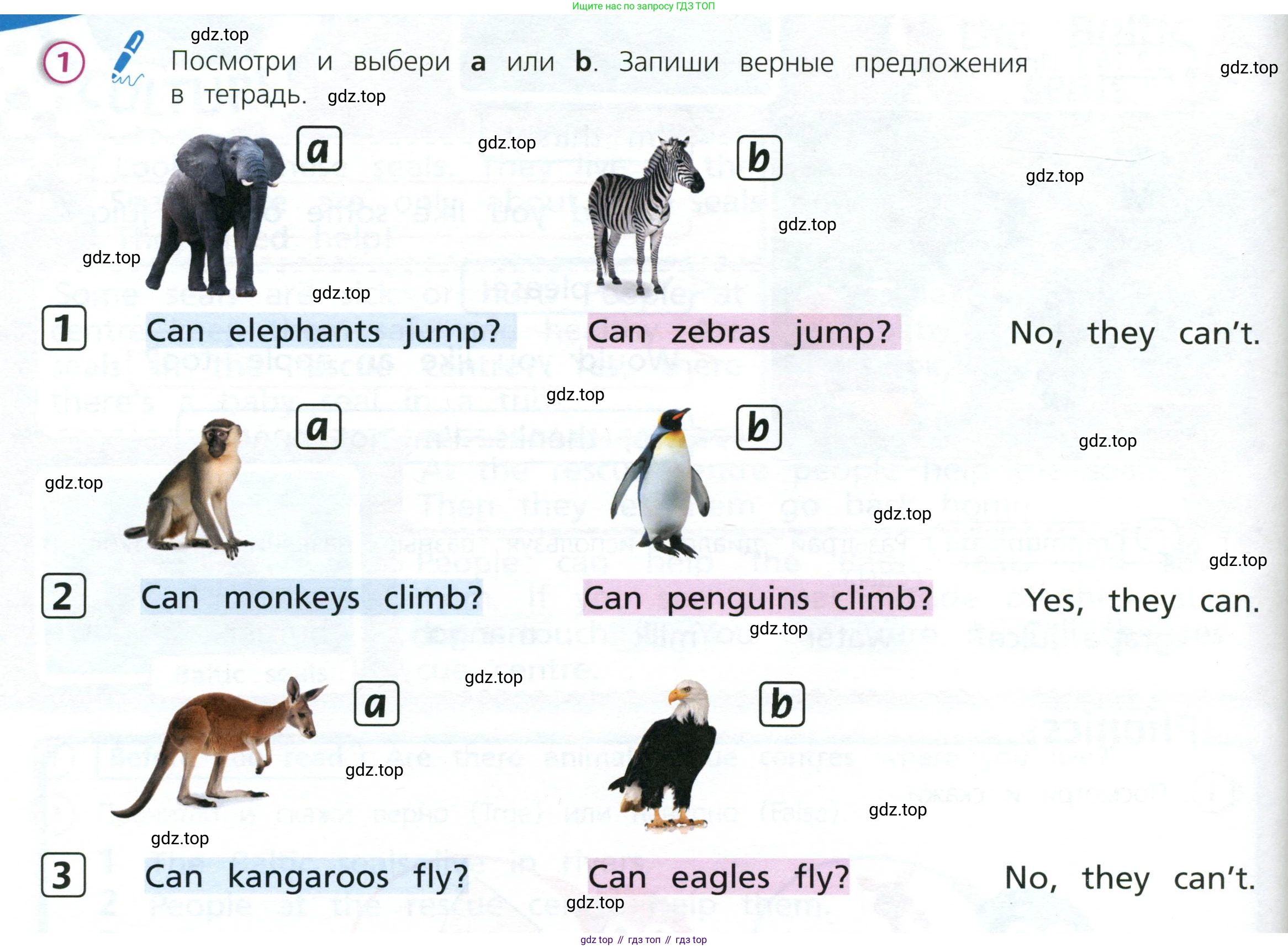 Английский язык (english), 3 класс Учебник (Student's book), авторы: Костюк Евгения Владимировна (Kostyuk Evgeniya), Колоницкая Лидия Борисовна (Kolonitskaya Lidiya), Кустаф Лесли (Koustaff Lesley), издательство Просвещение, Москва, 2023, белого цвета, Часть ( Part) 2, страница 44, номер 1, Условие