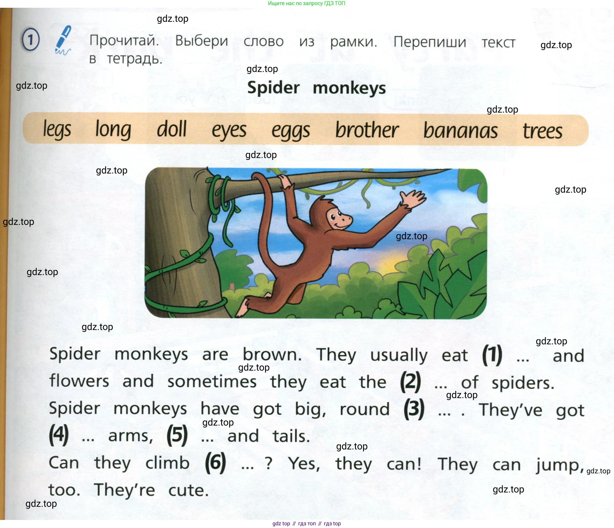 Английский язык (english), 3 класс Учебник (Student's book), авторы: Костюк Евгения Владимировна (Kostyuk Evgeniya), Колоницкая Лидия Борисовна (Kolonitskaya Lidiya), Кустаф Лесли (Koustaff Lesley), издательство Просвещение, Москва, 2023, белого цвета, Часть ( Part) 2, страница 45, номер 1, Условие