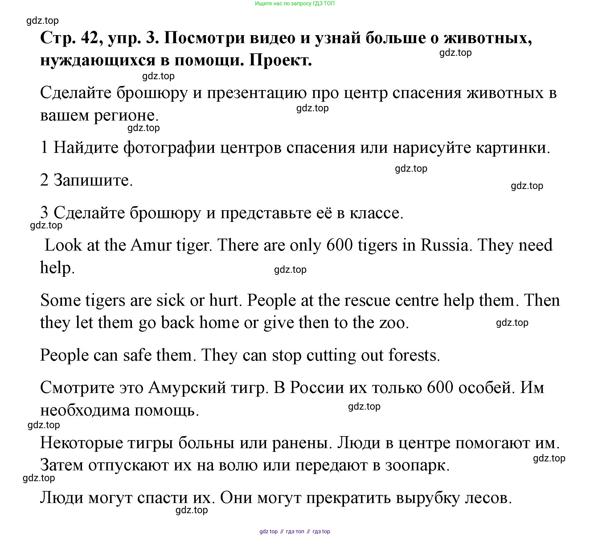 Английский язык (english), 3 класс Учебник (Student's book), авторы: Костюк Евгения Владимировна (Kostyuk Evgeniya), Колоницкая Лидия Борисовна (Kolonitskaya Lidiya), Кустаф Лесли (Koustaff Lesley), издательство Просвещение, Москва, 2023, белого цвета, Часть ( Part) 2, страница 42, номер 3, Решение