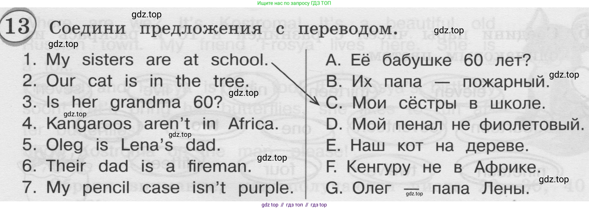 ГДЗ Английский язык (english), 3 класс сборник грамматических упражнений, автор: Рязанцева Светлана Борисовна, издательство Просвещение, Москва, 2024, белого цвета, страница 11, номер 13, Условие