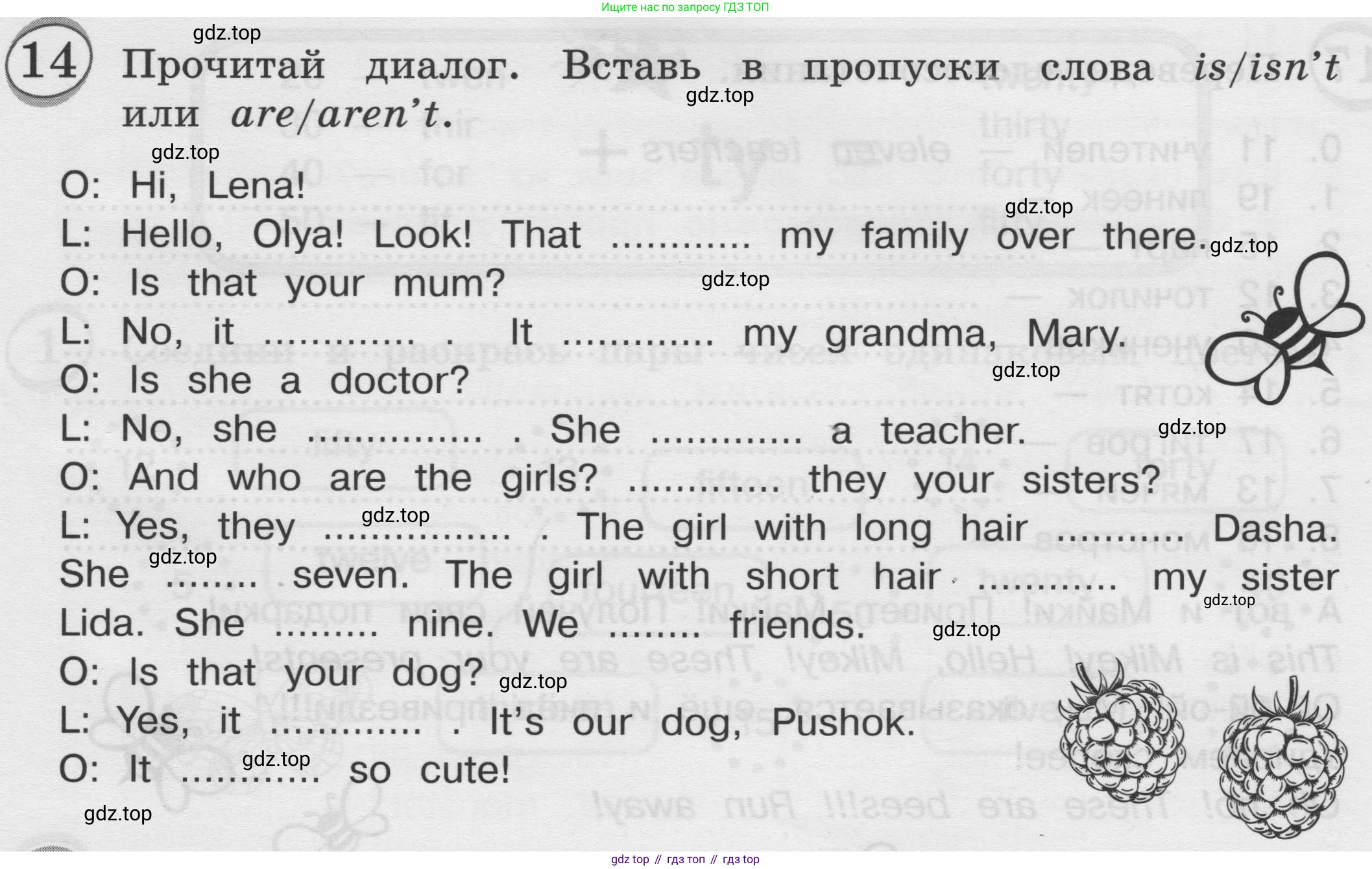 ГДЗ Английский язык (english), 3 класс сборник грамматических упражнений, автор: Рязанцева Светлана Борисовна, издательство Просвещение, Москва, 2024, белого цвета, страница 11, номер 14, Условие