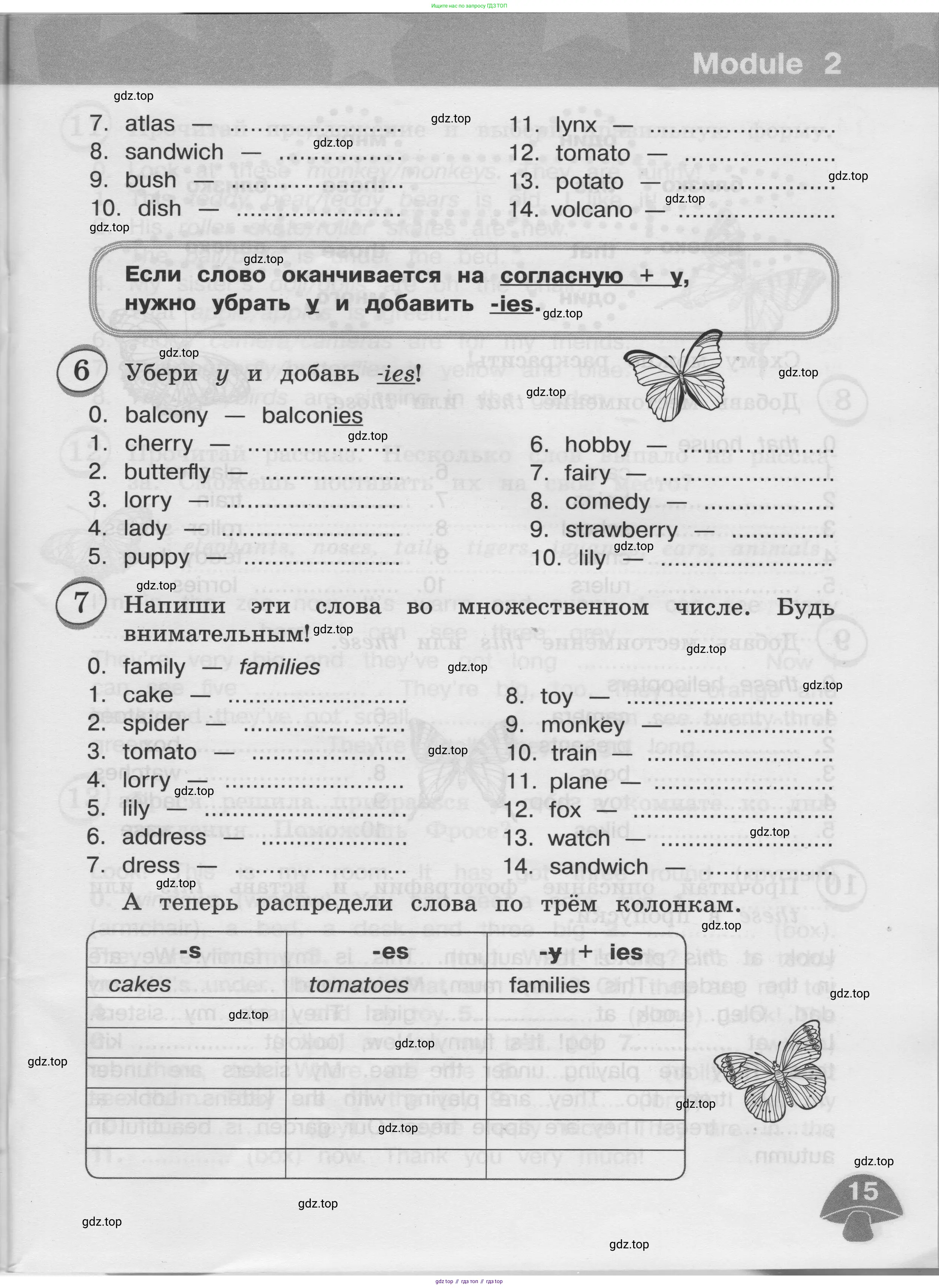 Английский язык (english), 3 класс сборник грамматических упражнений, автор: Рязанцева Светлана Борисовна, издательство Просвещение, Москва, 2024, белого цвета, страница 15