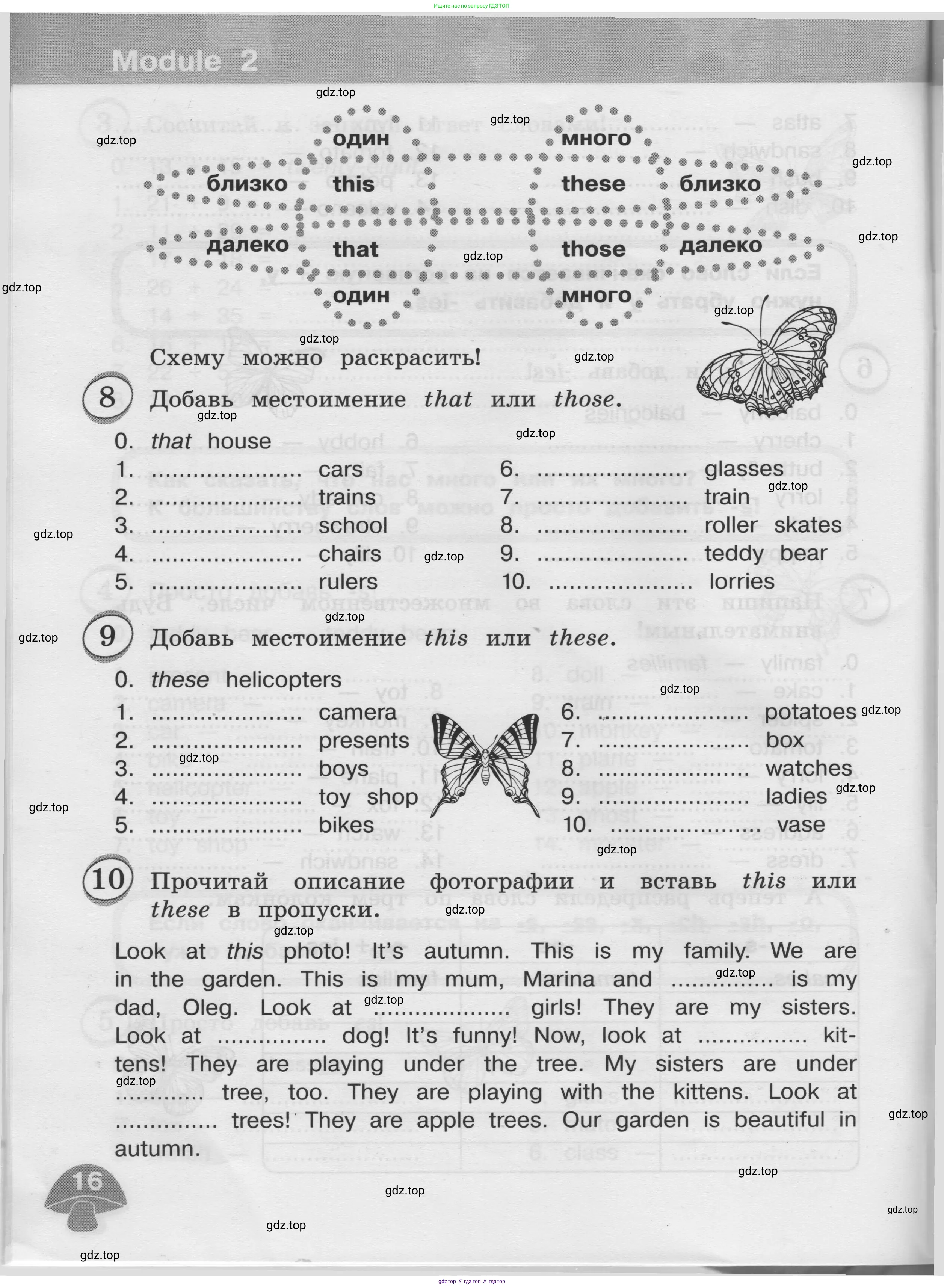 Английский язык (english), 3 класс сборник грамматических упражнений, автор: Рязанцева Светлана Борисовна, издательство Просвещение, Москва, 2024, белого цвета, страница 16