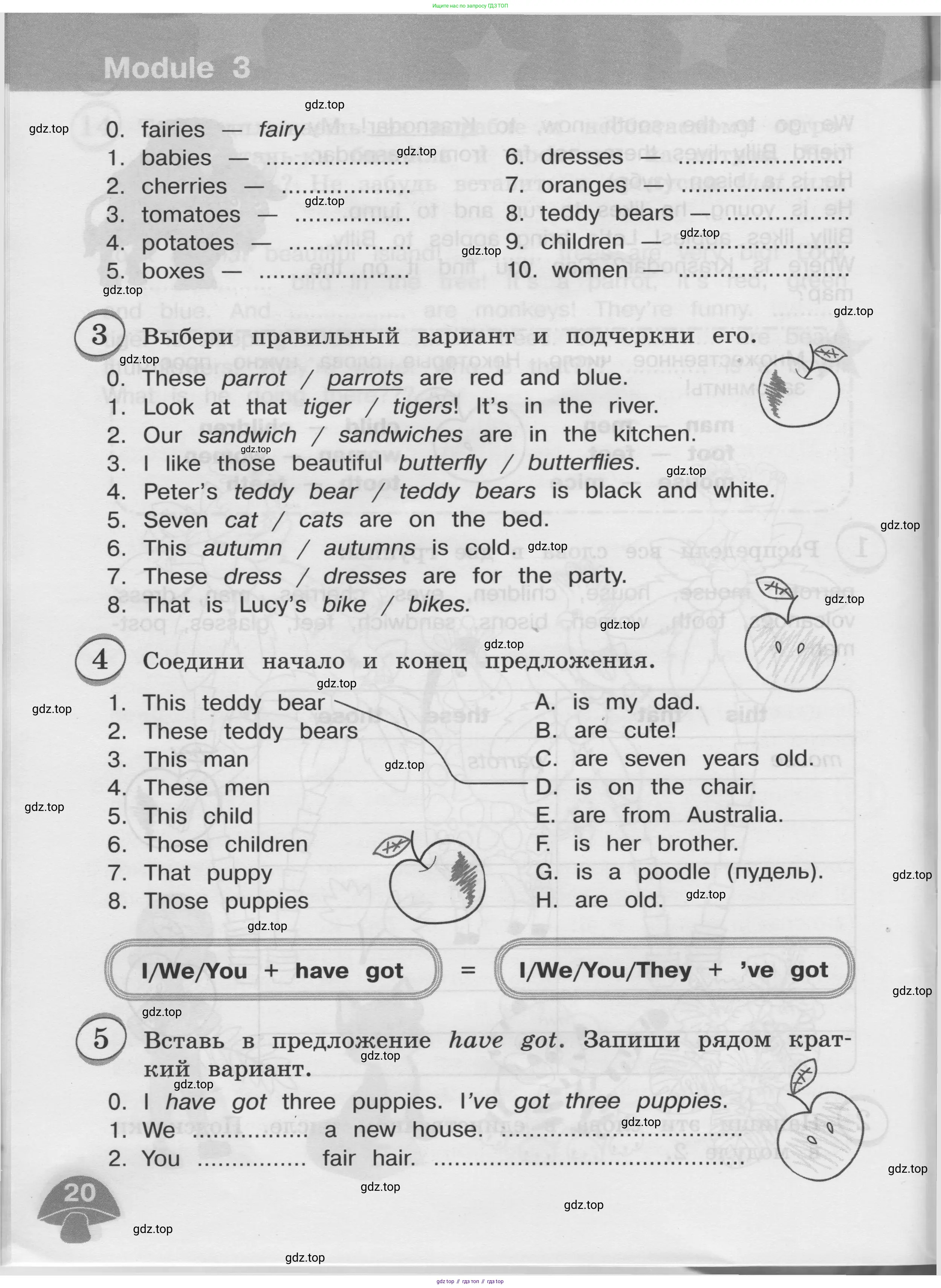 Английский язык (english), 3 класс сборник грамматических упражнений, автор: Рязанцева Светлана Борисовна, издательство Просвещение, Москва, 2024, белого цвета, страница 20