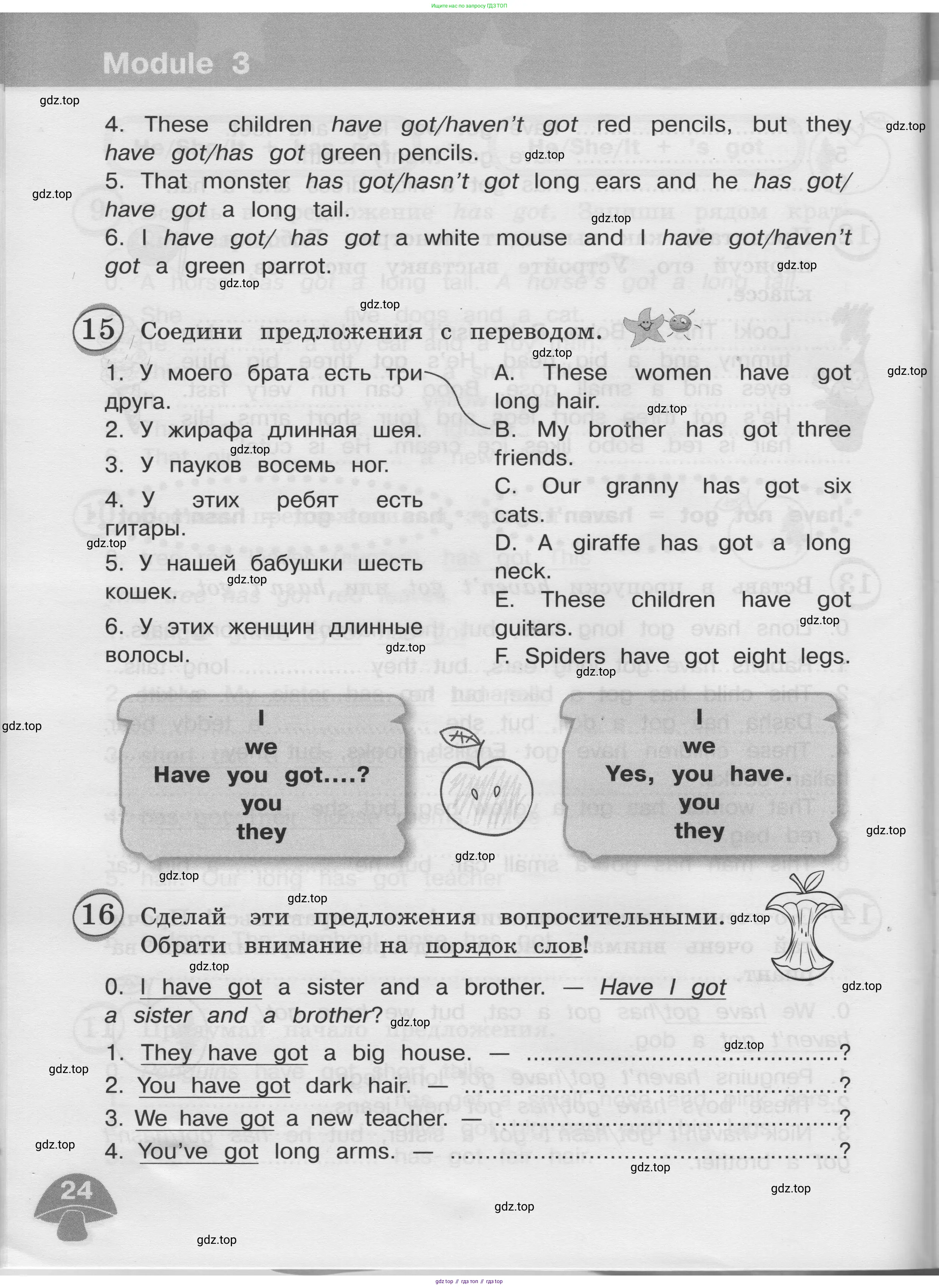 Английский язык (english), 3 класс сборник грамматических упражнений, автор: Рязанцева Светлана Борисовна, издательство Просвещение, Москва, 2024, белого цвета, страница 24