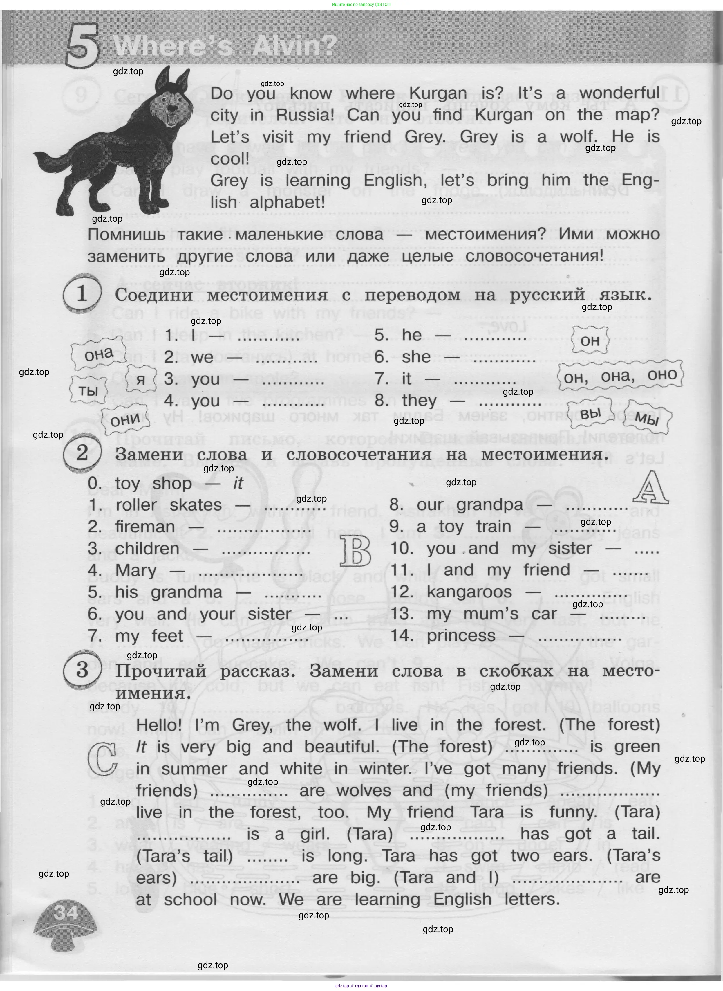 Английский язык (english), 3 класс сборник грамматических упражнений, автор: Рязанцева Светлана Борисовна, издательство Просвещение, Москва, 2024, белого цвета, страница 34