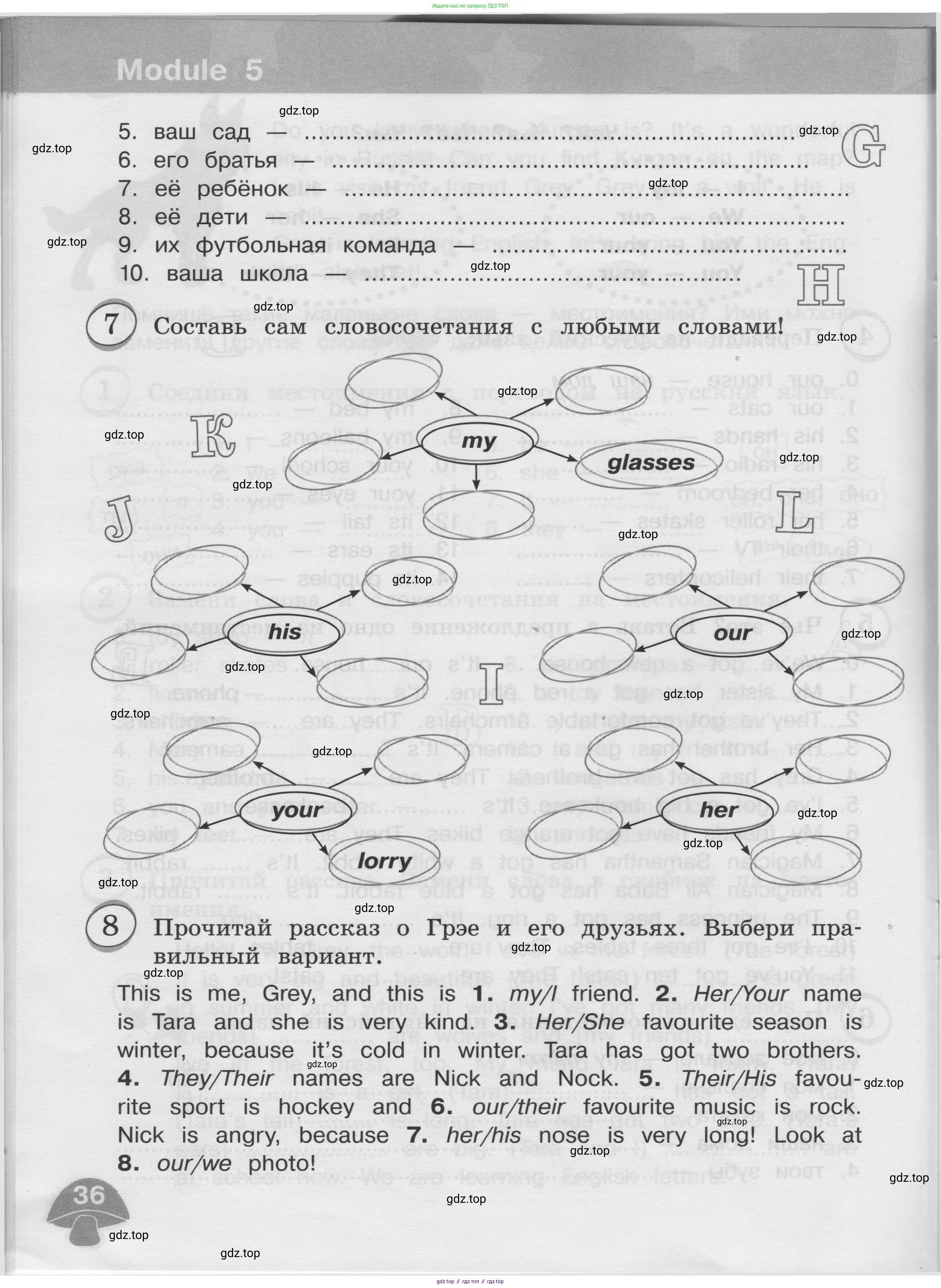 Английский язык (english), 3 класс сборник грамматических упражнений, автор: Рязанцева Светлана Борисовна, издательство Просвещение, Москва, 2024, белого цвета, страница 36