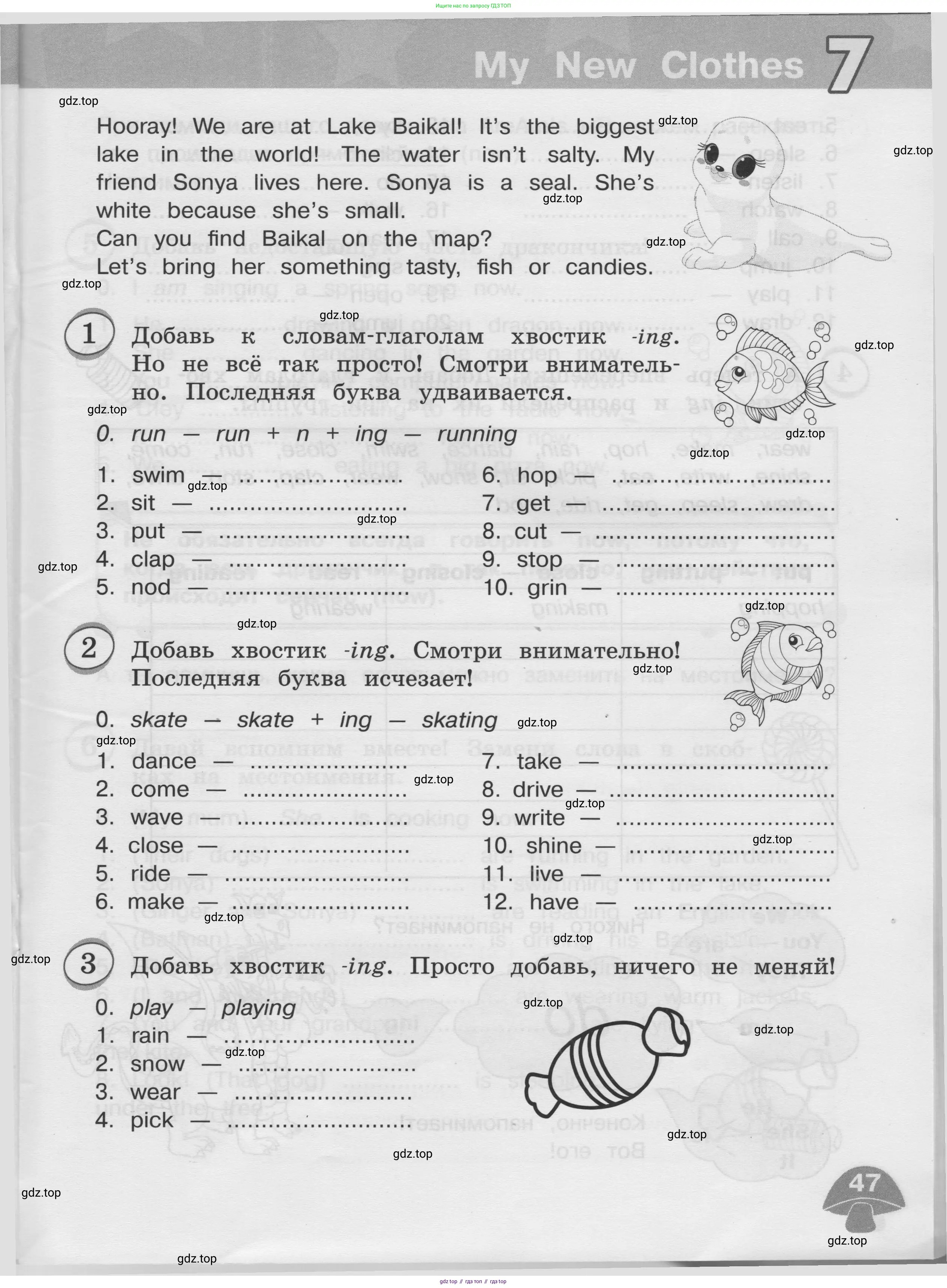 Английский язык (english), 3 класс сборник грамматических упражнений, автор: Рязанцева Светлана Борисовна, издательство Просвещение, Москва, 2024, белого цвета, страница 47