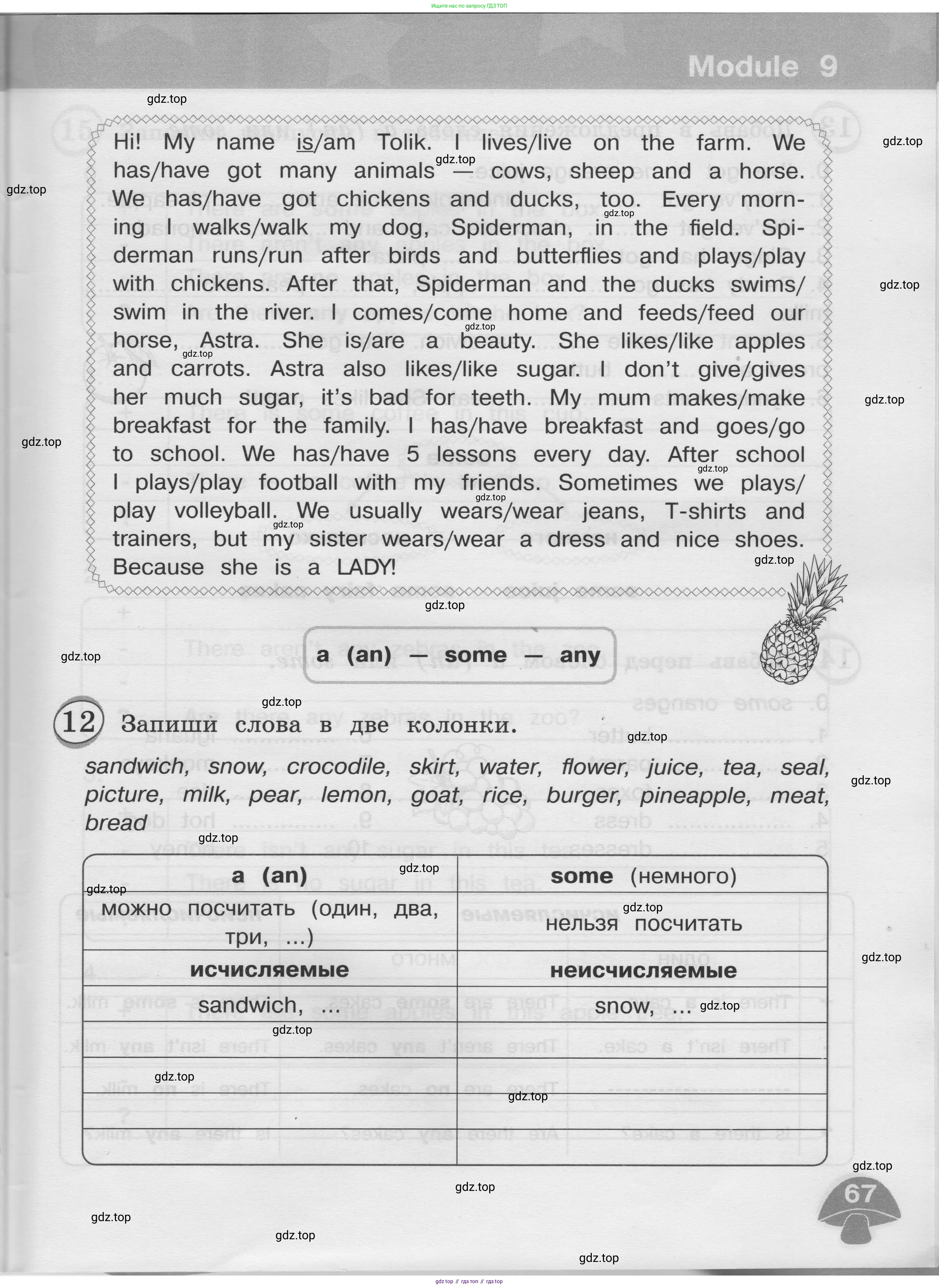 Английский язык (english), 3 класс сборник грамматических упражнений, автор: Рязанцева Светлана Борисовна, издательство Просвещение, Москва, 2024, белого цвета, страница 67