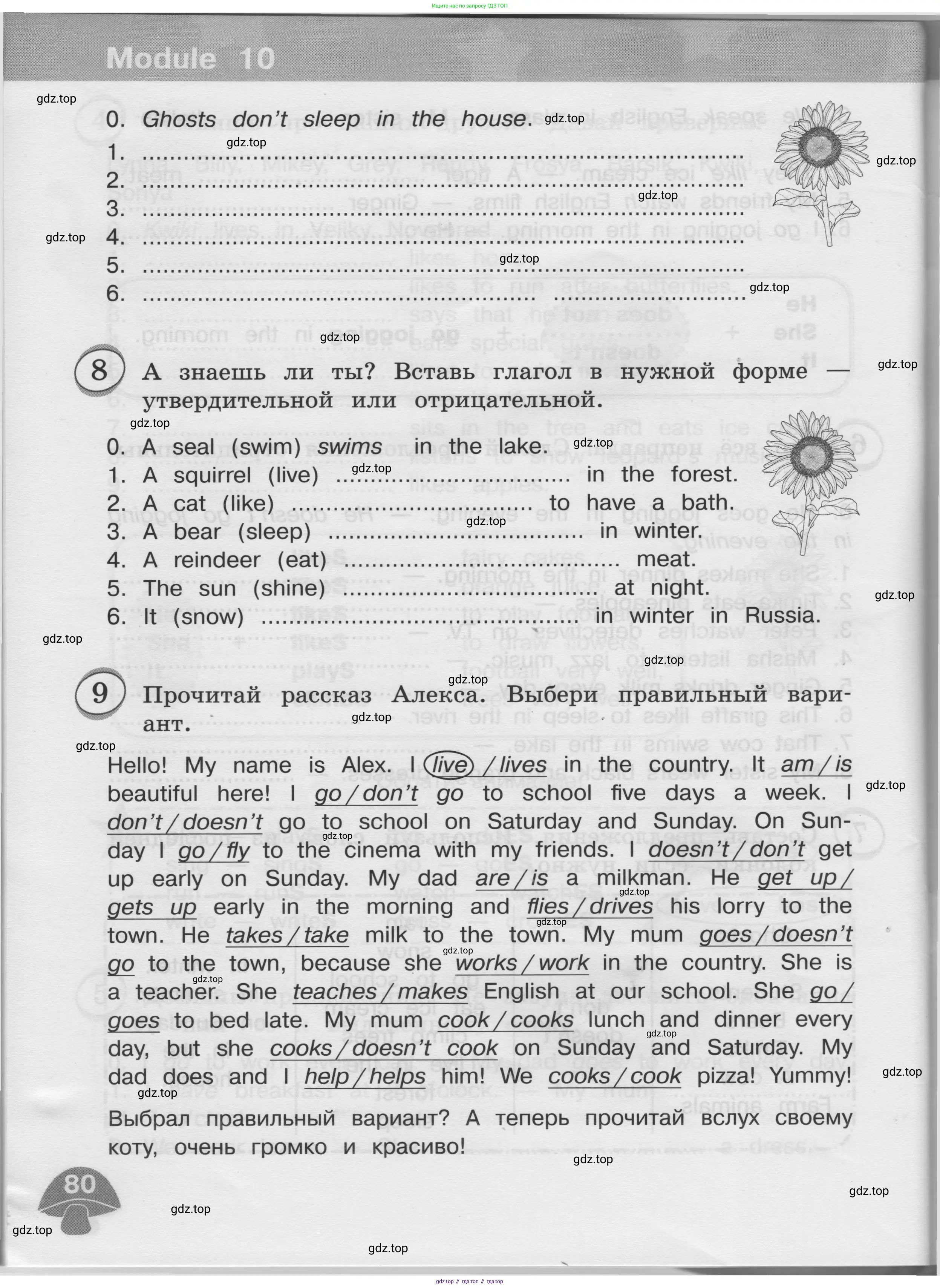 Английский язык (english), 3 класс сборник грамматических упражнений, автор: Рязанцева Светлана Борисовна, издательство Просвещение, Москва, 2024, белого цвета, страница 80