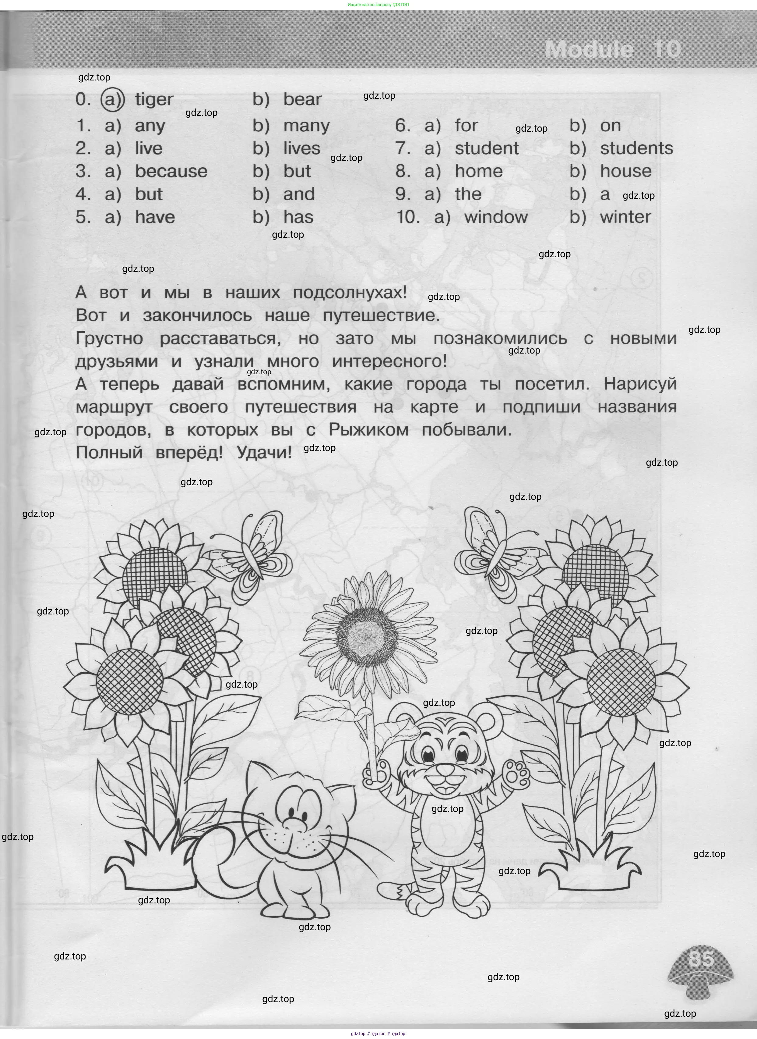 Английский язык (english), 3 класс сборник грамматических упражнений, автор: Рязанцева Светлана Борисовна, издательство Просвещение, Москва, 2024, белого цвета, страница 85