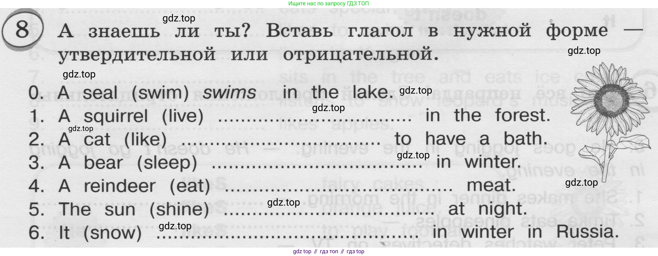 ГДЗ Английский язык (english), 3 класс сборник грамматических упражнений, автор: Рязанцева Светлана Борисовна, издательство Просвещение, Москва, 2024, белого цвета, страница 80, номер 8, Условие