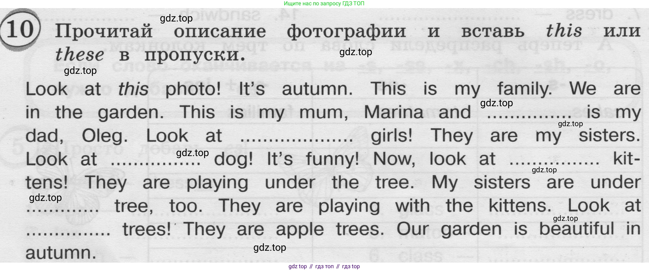 ГДЗ Английский язык (english), 3 класс сборник грамматических упражнений, автор: Рязанцева Светлана Борисовна, издательство Просвещение, Москва, 2024, белого цвета, страница 16, номер 10, Условие