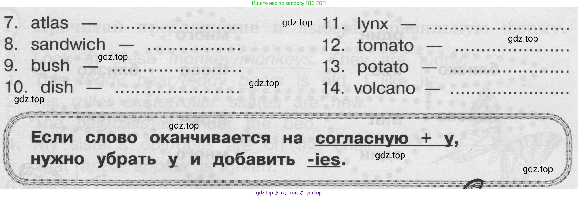 ГДЗ Английский язык (english), 3 класс сборник грамматических упражнений, автор: Рязанцева Светлана Борисовна, издательство Просвещение, Москва, 2024, белого цвета, страница 14, номер 5, Условие (продолжение 2)