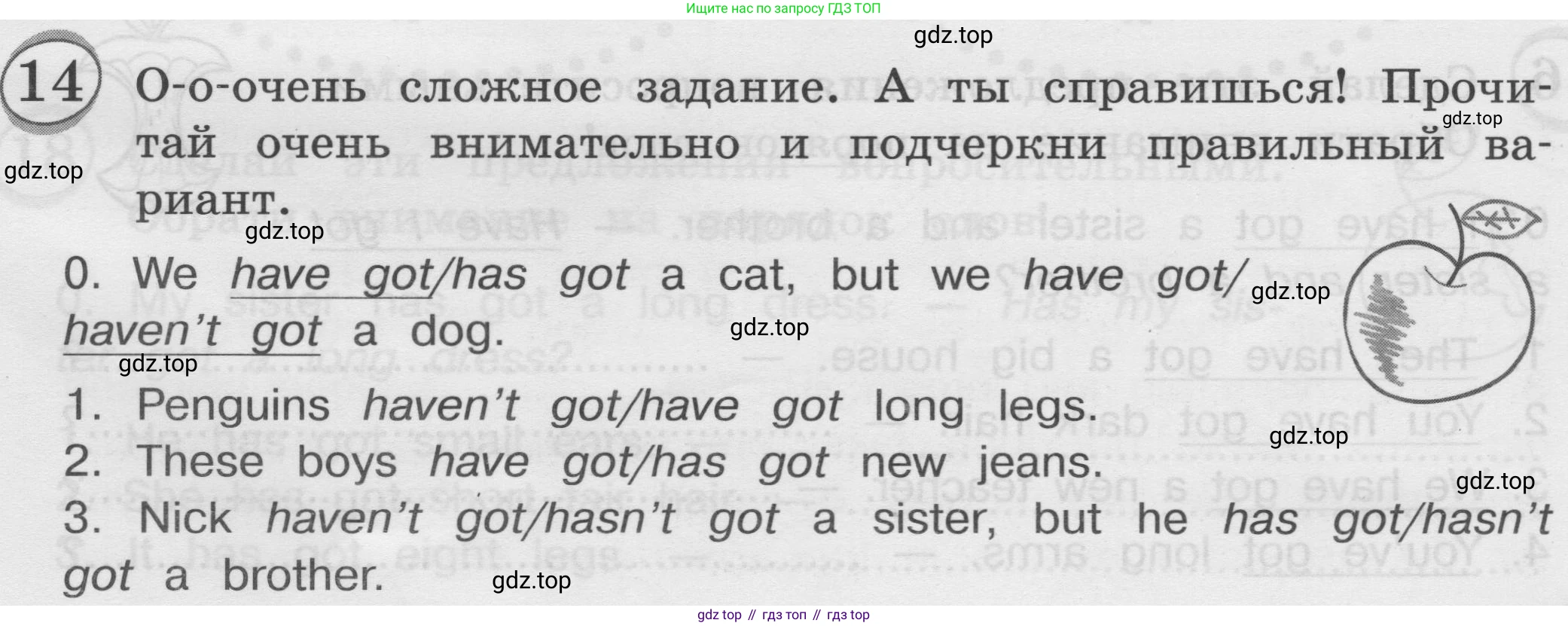 ГДЗ Английский язык (english), 3 класс сборник грамматических упражнений, автор: Рязанцева Светлана Борисовна, издательство Просвещение, Москва, 2024, белого цвета, страница 23, номер 14, Условие