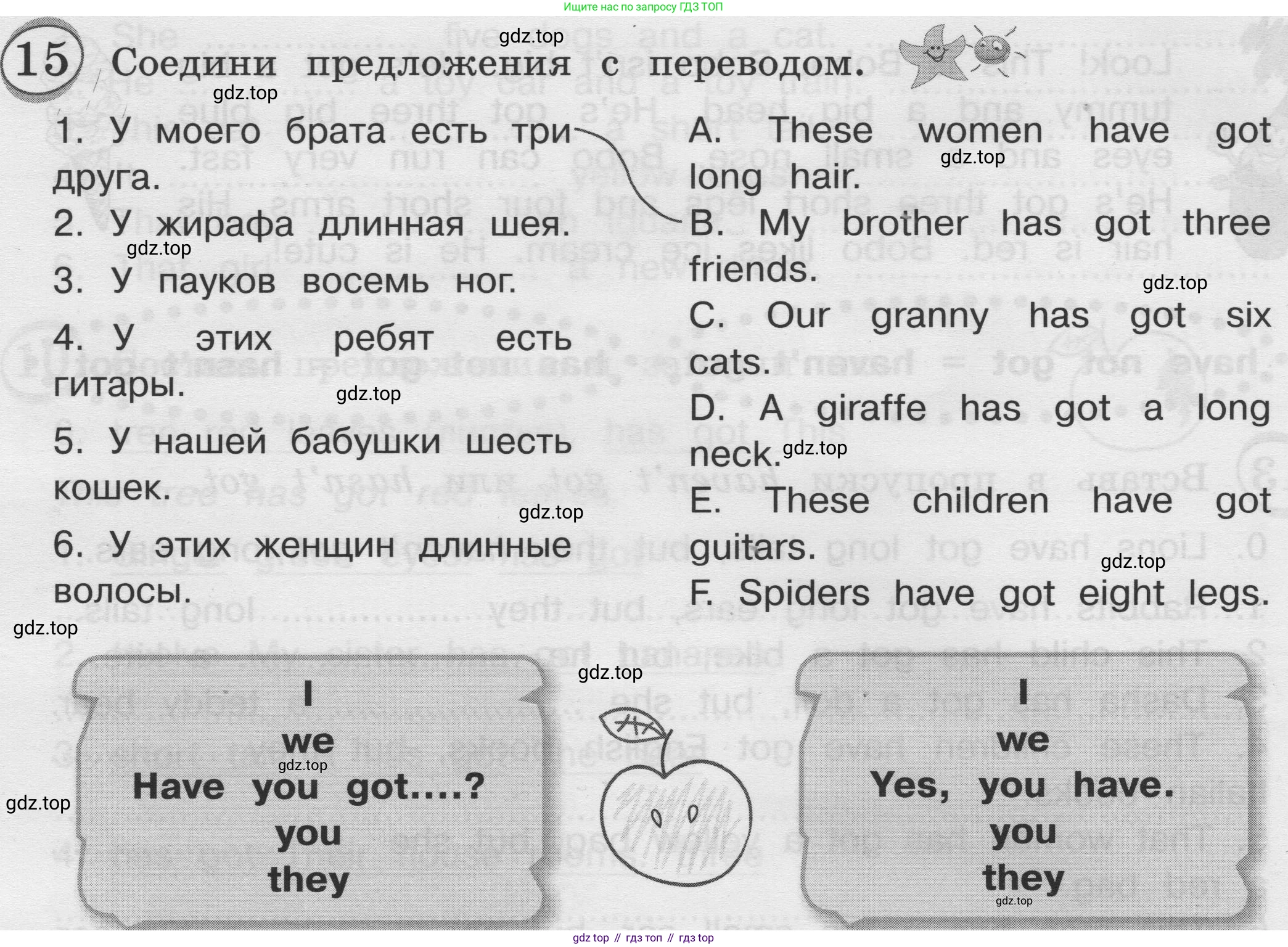 ГДЗ Английский язык (english), 3 класс сборник грамматических упражнений, автор: Рязанцева Светлана Борисовна, издательство Просвещение, Москва, 2024, белого цвета, страница 24, номер 15, Условие