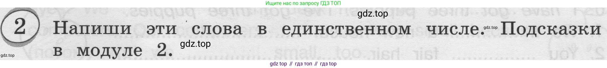 ГДЗ Английский язык (english), 3 класс сборник грамматических упражнений, автор: Рязанцева Светлана Борисовна, издательство Просвещение, Москва, 2024, белого цвета, страница 19, номер 2, Условие