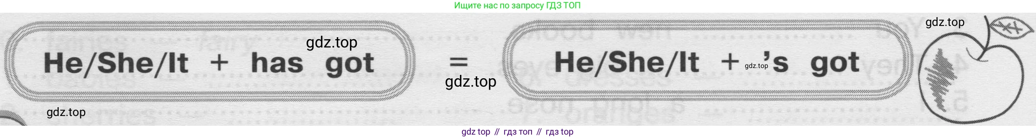 ГДЗ Английский язык (english), 3 класс сборник грамматических упражнений, автор: Рязанцева Светлана Борисовна, издательство Просвещение, Москва, 2024, белого цвета, страница 21, номер 8, Условие (продолжение 2)