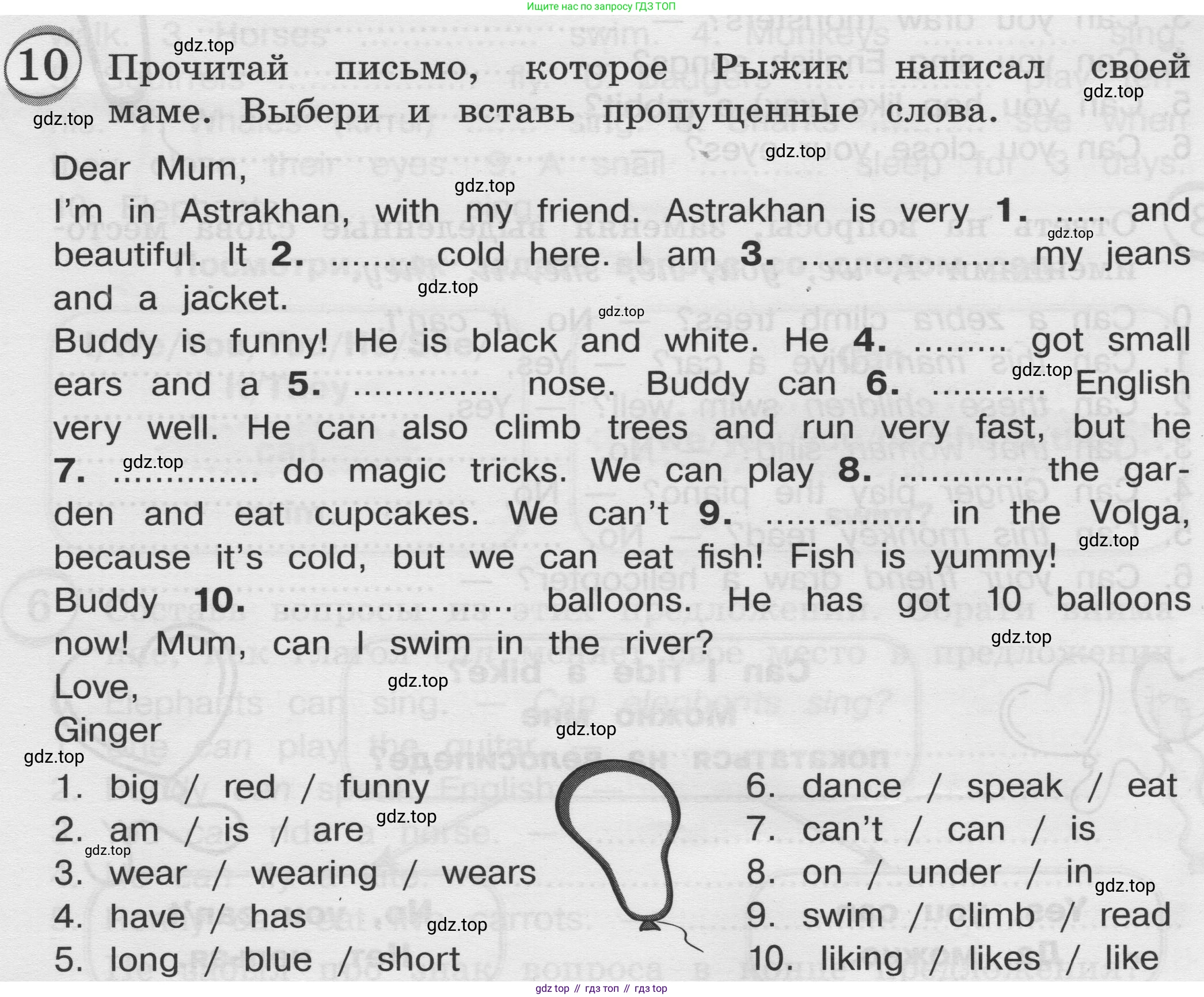 ГДЗ Английский язык (english), 3 класс сборник грамматических упражнений, автор: Рязанцева Светлана Борисовна, издательство Просвещение, Москва, 2024, белого цвета, страница 32, номер 10, Условие