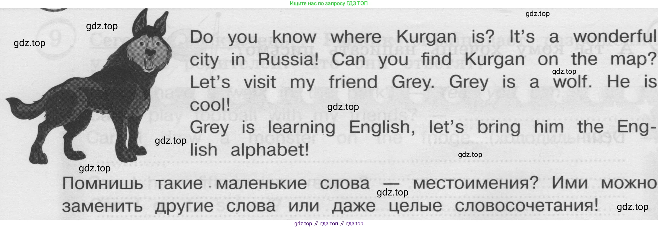 ГДЗ Английский язык (english), 3 класс сборник грамматических упражнений, автор: Рязанцева Светлана Борисовна, издательство Просвещение, Москва, 2024, белого цвета, страница 34, Условие