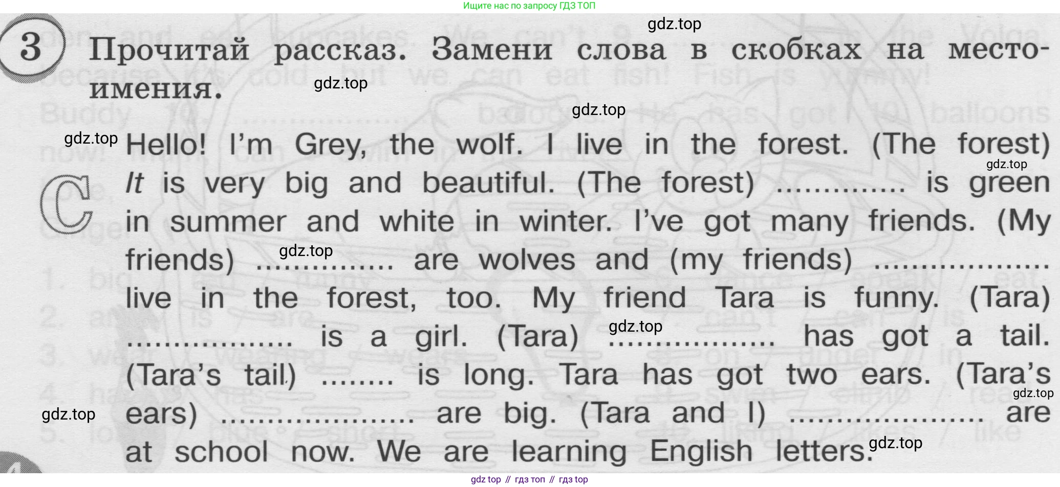 ГДЗ Английский язык (english), 3 класс сборник грамматических упражнений, автор: Рязанцева Светлана Борисовна, издательство Просвещение, Москва, 2024, белого цвета, страница 34, номер 3, Условие