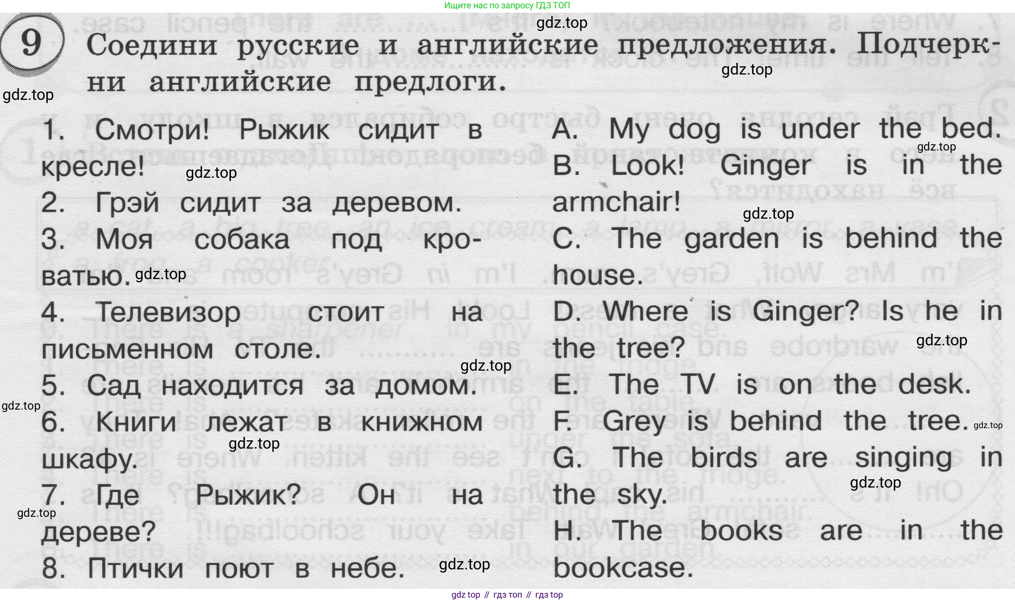 ГДЗ Английский язык (english), 3 класс сборник грамматических упражнений, автор: Рязанцева Светлана Борисовна, издательство Просвещение, Москва, 2024, белого цвета, страница 37, номер 9, Условие