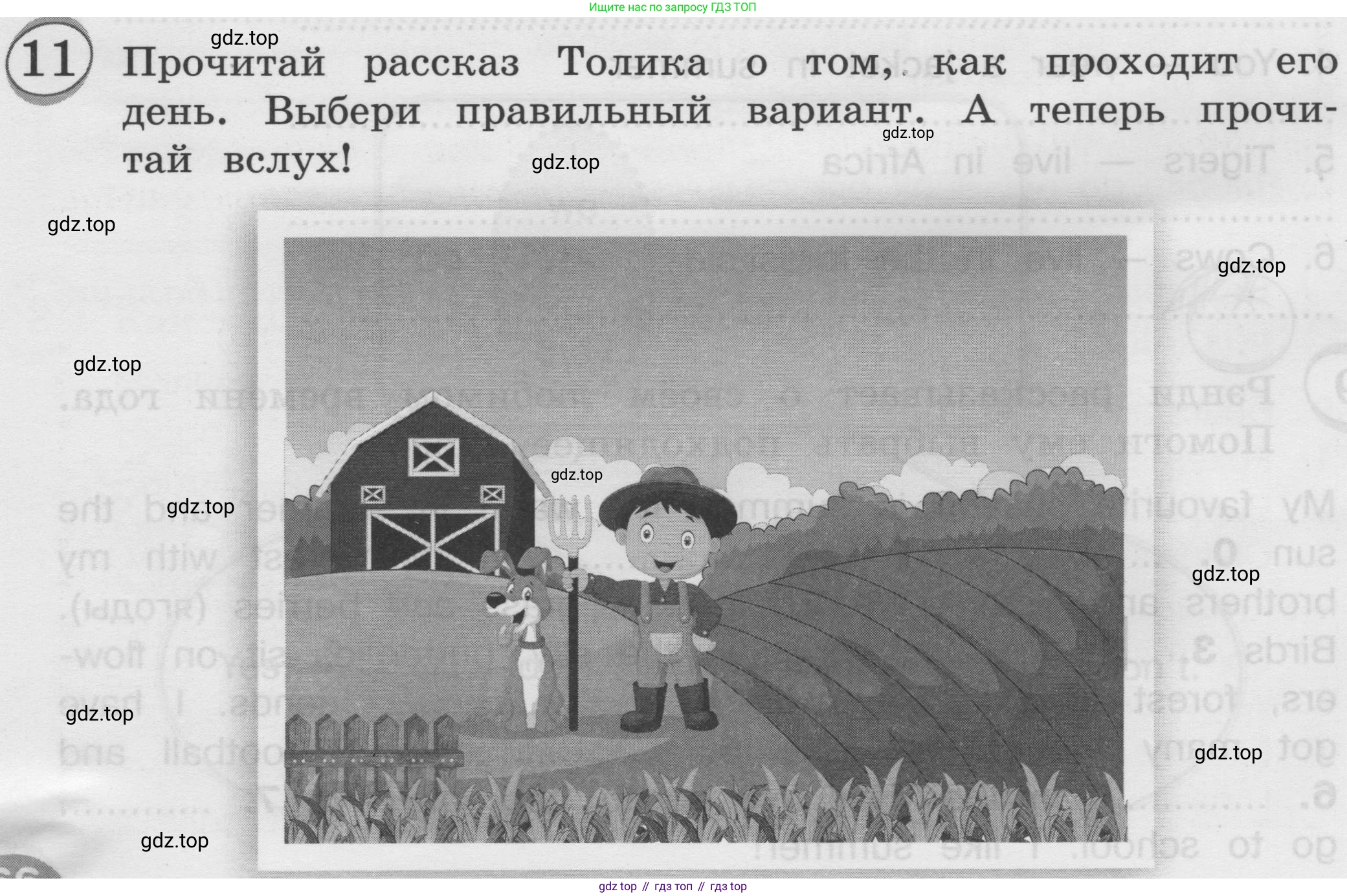 ГДЗ Английский язык (english), 3 класс сборник грамматических упражнений, автор: Рязанцева Светлана Борисовна, издательство Просвещение, Москва, 2024, белого цвета, страница 66, номер 11, Условие