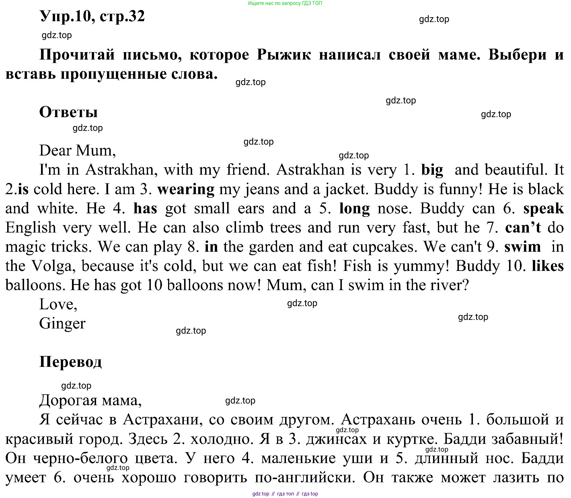 ГДЗ Английский язык (english), 3 класс сборник грамматических упражнений, автор: Рязанцева Светлана Борисовна, издательство Просвещение, Москва, 2024, белого цвета, страница 32, номер 10, Решение