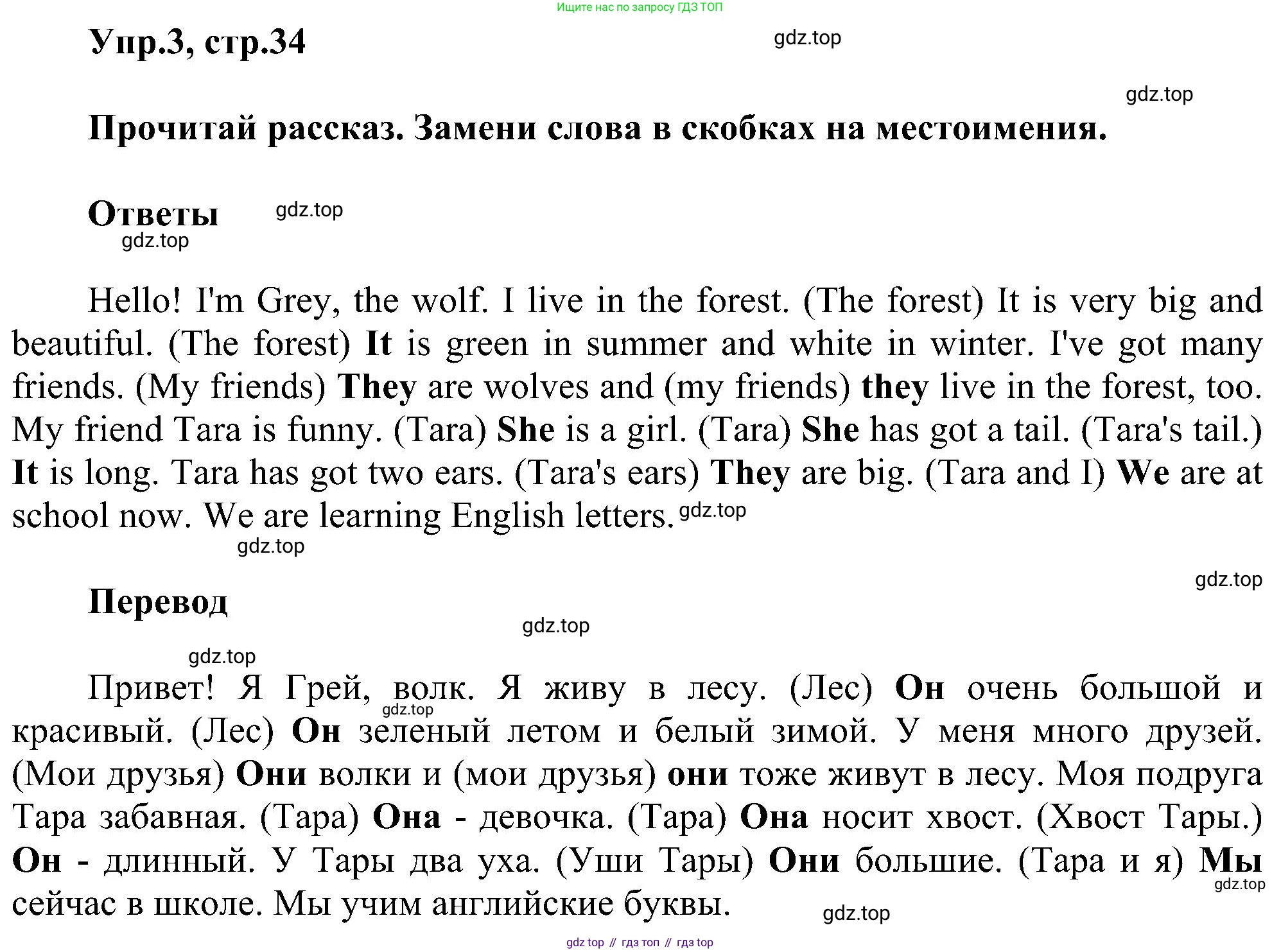 ГДЗ Английский язык (english), 3 класс сборник грамматических упражнений, автор: Рязанцева Светлана Борисовна, издательство Просвещение, Москва, 2024, белого цвета, страница 34, номер 3, Решение