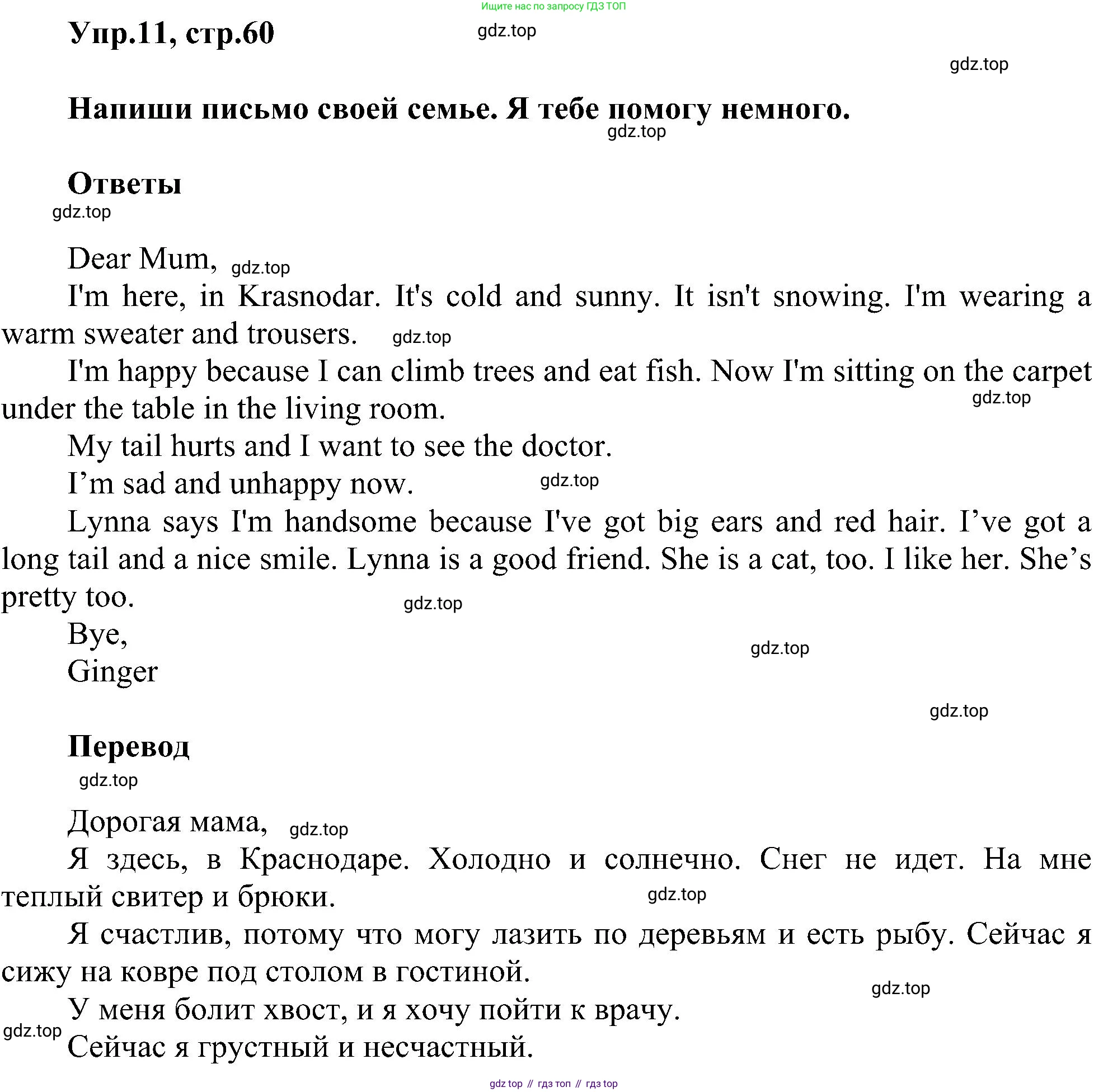ГДЗ Английский язык (english), 3 класс сборник грамматических упражнений, автор: Рязанцева Светлана Борисовна, издательство Просвещение, Москва, 2024, белого цвета, страница 60, номер 11, Решение
