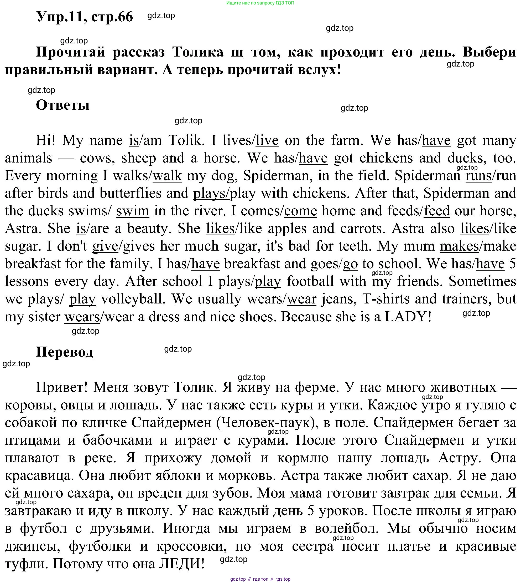 ГДЗ Английский язык (english), 3 класс сборник грамматических упражнений, автор: Рязанцева Светлана Борисовна, издательство Просвещение, Москва, 2024, белого цвета, страница 66, номер 11, Решение