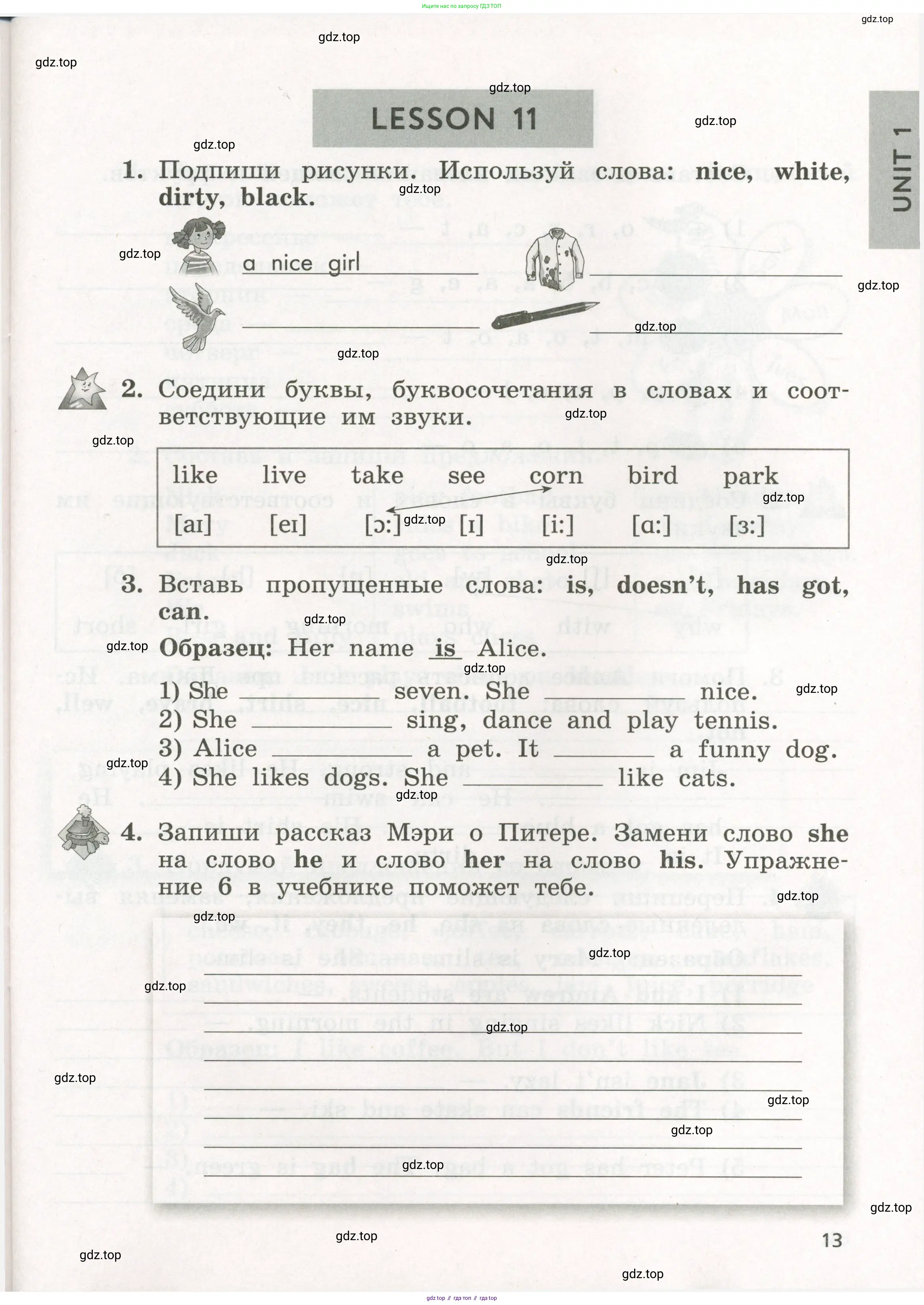 Английский язык (english), 3 класс рабочая тетрадь с контрольными работами (workbook + tests), авторы: Биболетова Мерем Забатовна, Денисенко Ольга Анатольевна, Трубанева Наталия Николаевна, издательство Просвещение, Москва, 2023, зелёного цвета, страница 13