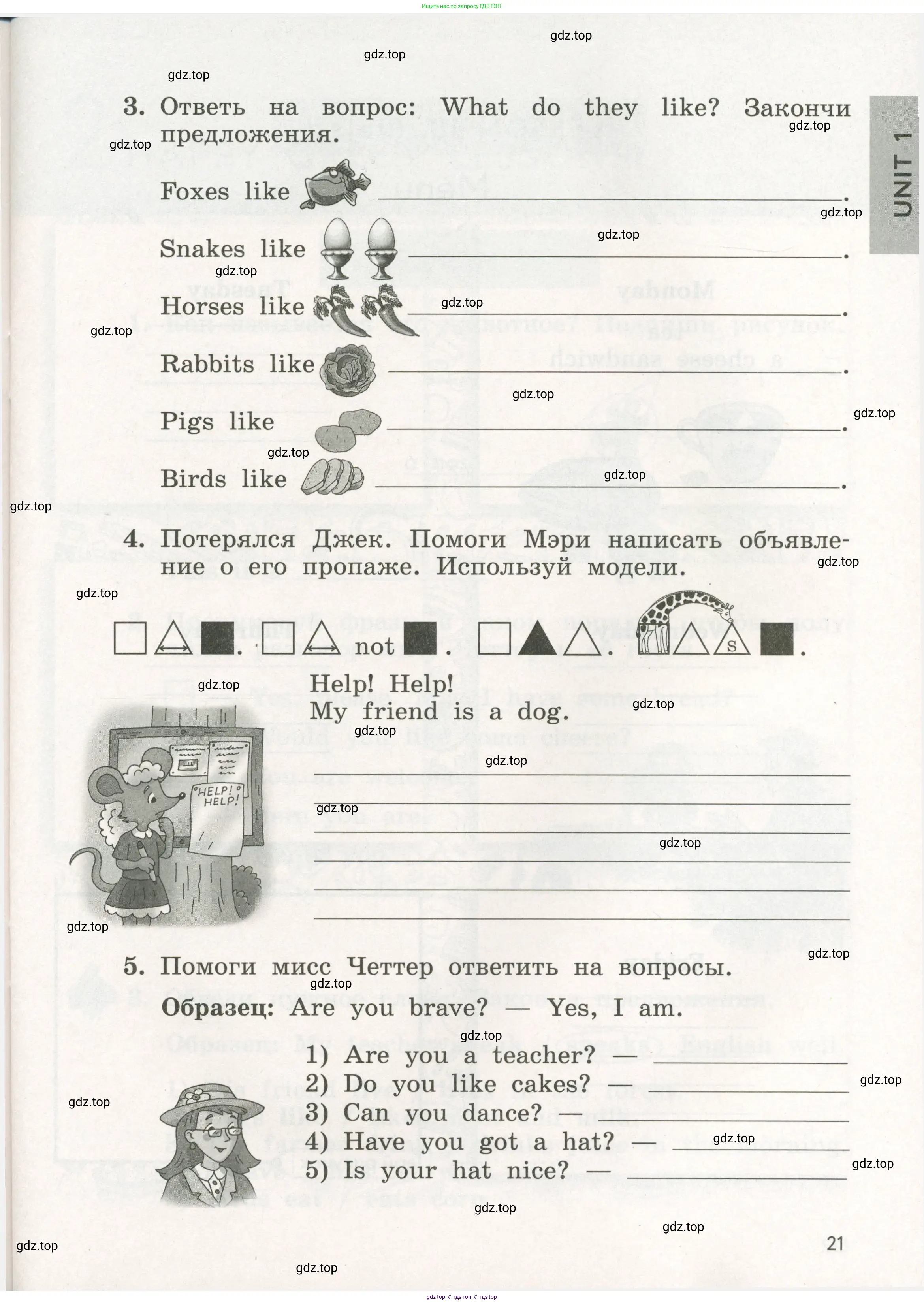 Английский язык (english), 3 класс рабочая тетрадь с контрольными работами (workbook + tests), авторы: Биболетова Мерем Забатовна, Денисенко Ольга Анатольевна, Трубанева Наталия Николаевна, издательство Просвещение, Москва, 2023, зелёного цвета, страница 21