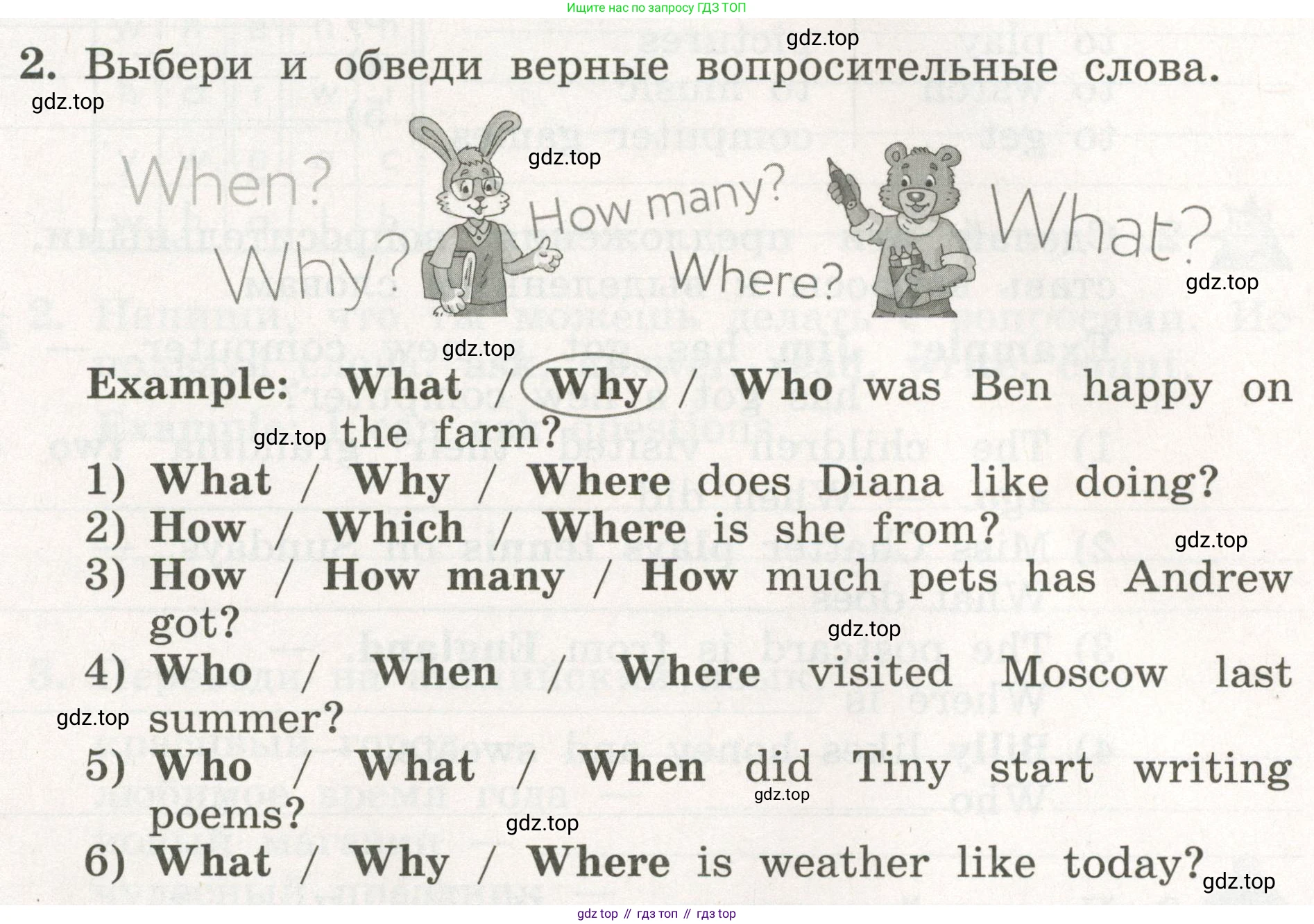 ГДЗ Английский язык (english), 3 класс рабочая тетрадь с контрольными работами (workbook + tests), авторы: Биболетова Мерем Забатовна, Денисенко Ольга Анатольевна, Трубанева Наталия Николаевна, издательство Просвещение, Москва, 2023, зелёного цвета, страница 53, номер 2, Условие 2023г.