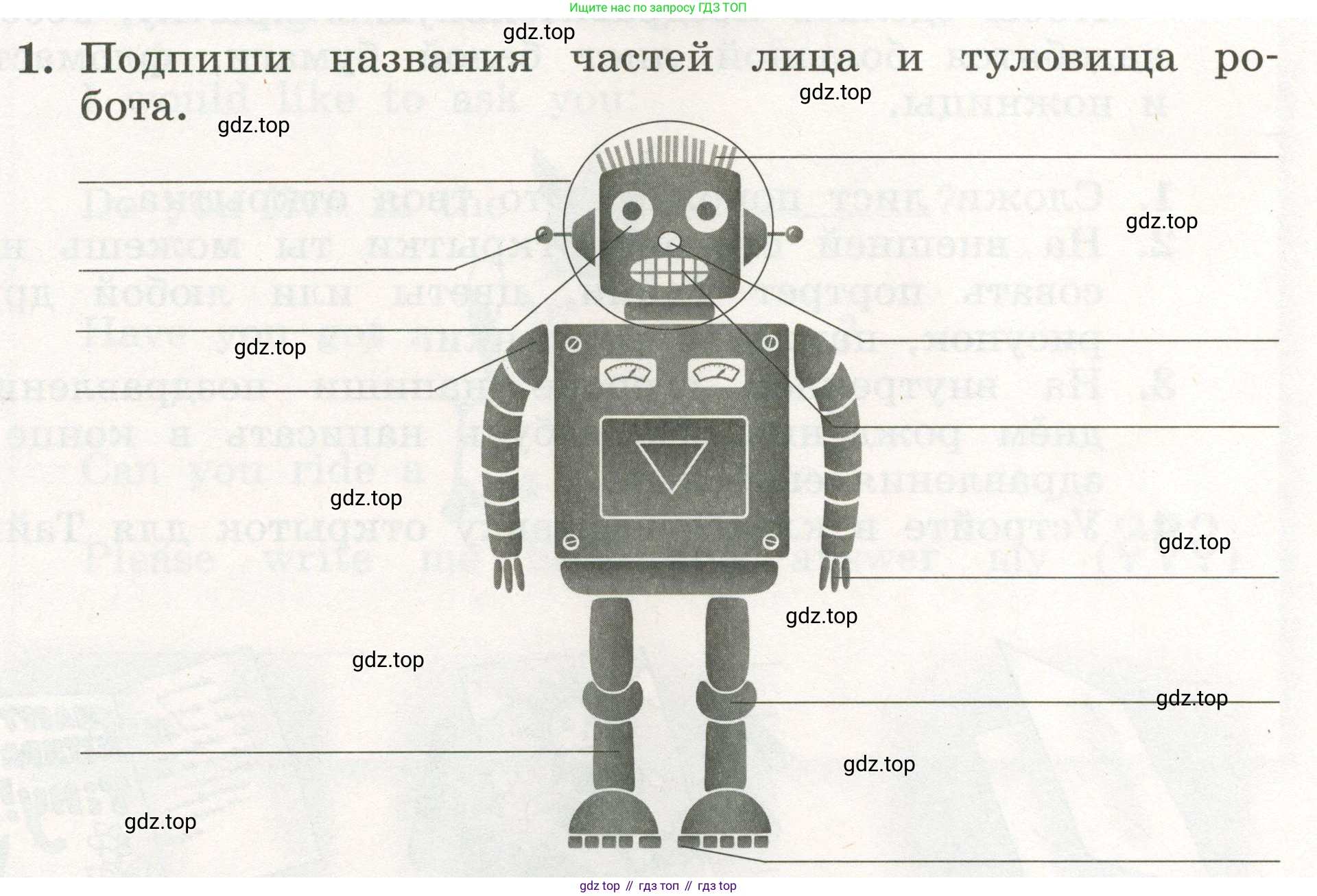 ГДЗ Английский язык (english), 3 класс рабочая тетрадь с контрольными работами (workbook + tests), авторы: Биболетова Мерем Забатовна, Денисенко Ольга Анатольевна, Трубанева Наталия Николаевна, издательство Просвещение, Москва, 2023, зелёного цвета, страница 62, номер 1, Условие 2023г.