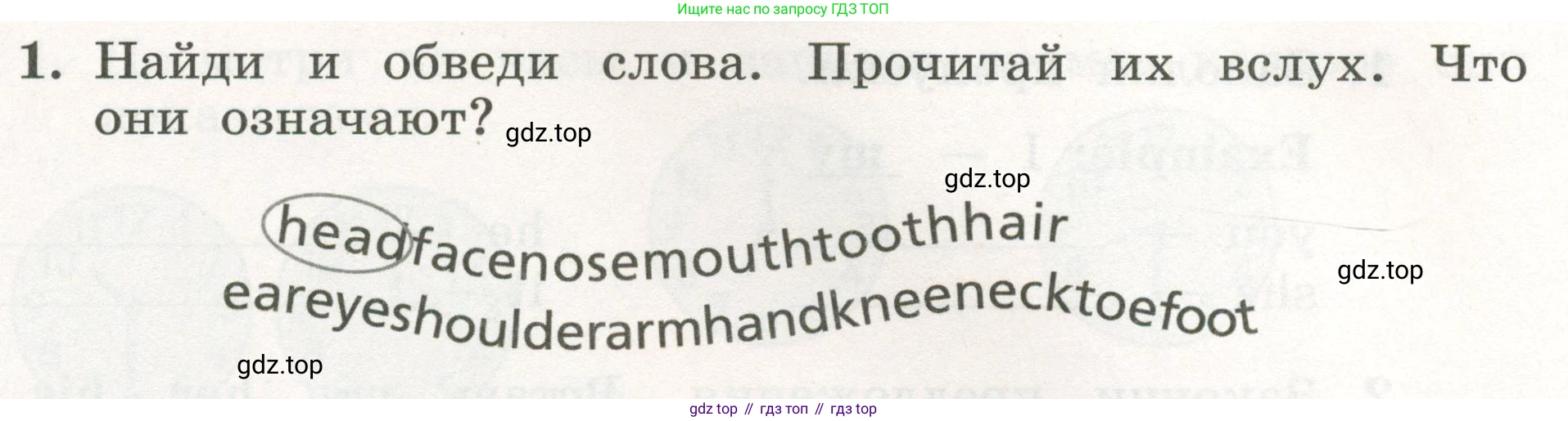 ГДЗ Английский язык (english), 3 класс рабочая тетрадь с контрольными работами (workbook + tests), авторы: Биболетова Мерем Забатовна, Денисенко Ольга Анатольевна, Трубанева Наталия Николаевна, издательство Просвещение, Москва, 2023, зелёного цвета, страница 63, номер 1, Условие 2023г.