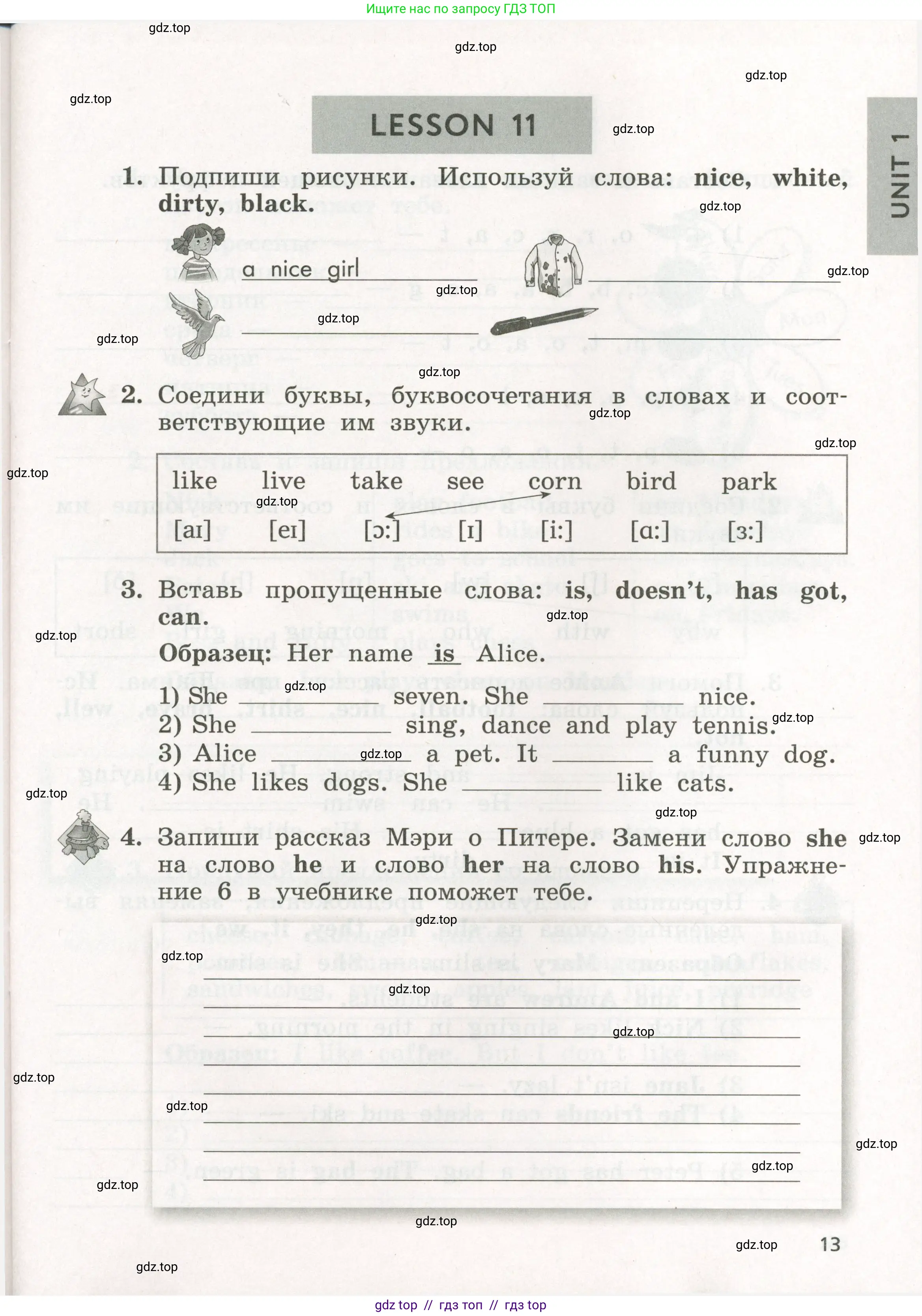 Английский язык (english), 3 класс рабочая тетрадь с контрольными работами (workbook + tests), авторы: Биболетова Мерем Забатовна, Денисенко Ольга Анатольевна, Трубанева Наталия Николаевна, издательство Просвещение, Москва, 2023, зелёного цвета, страница 13
