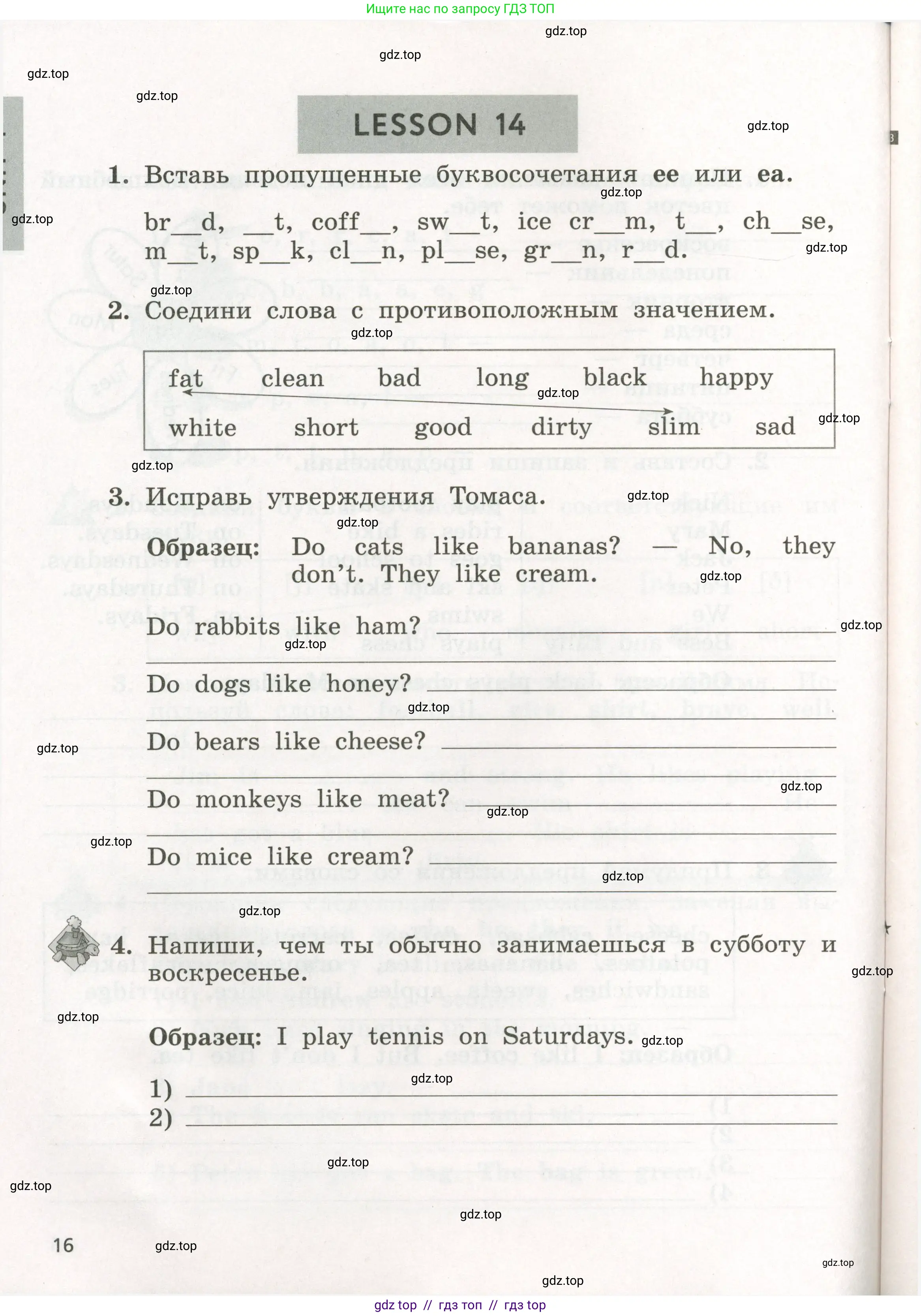 Английский язык (english), 3 класс рабочая тетрадь с контрольными работами (workbook + tests), авторы: Биболетова Мерем Забатовна, Денисенко Ольга Анатольевна, Трубанева Наталия Николаевна, издательство Просвещение, Москва, 2023, зелёного цвета, страница 16